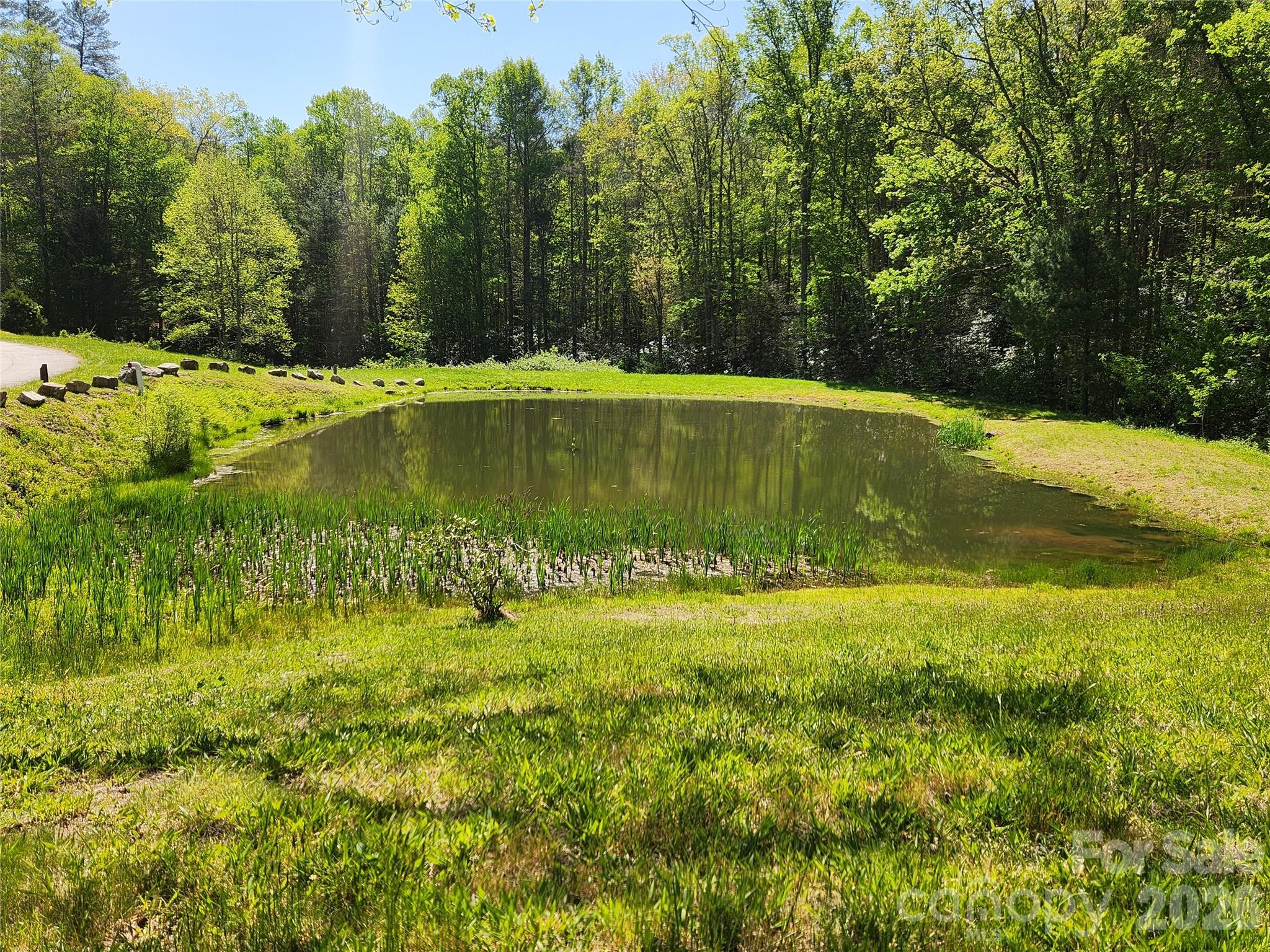 889 Firefly Trail Property Photo 32