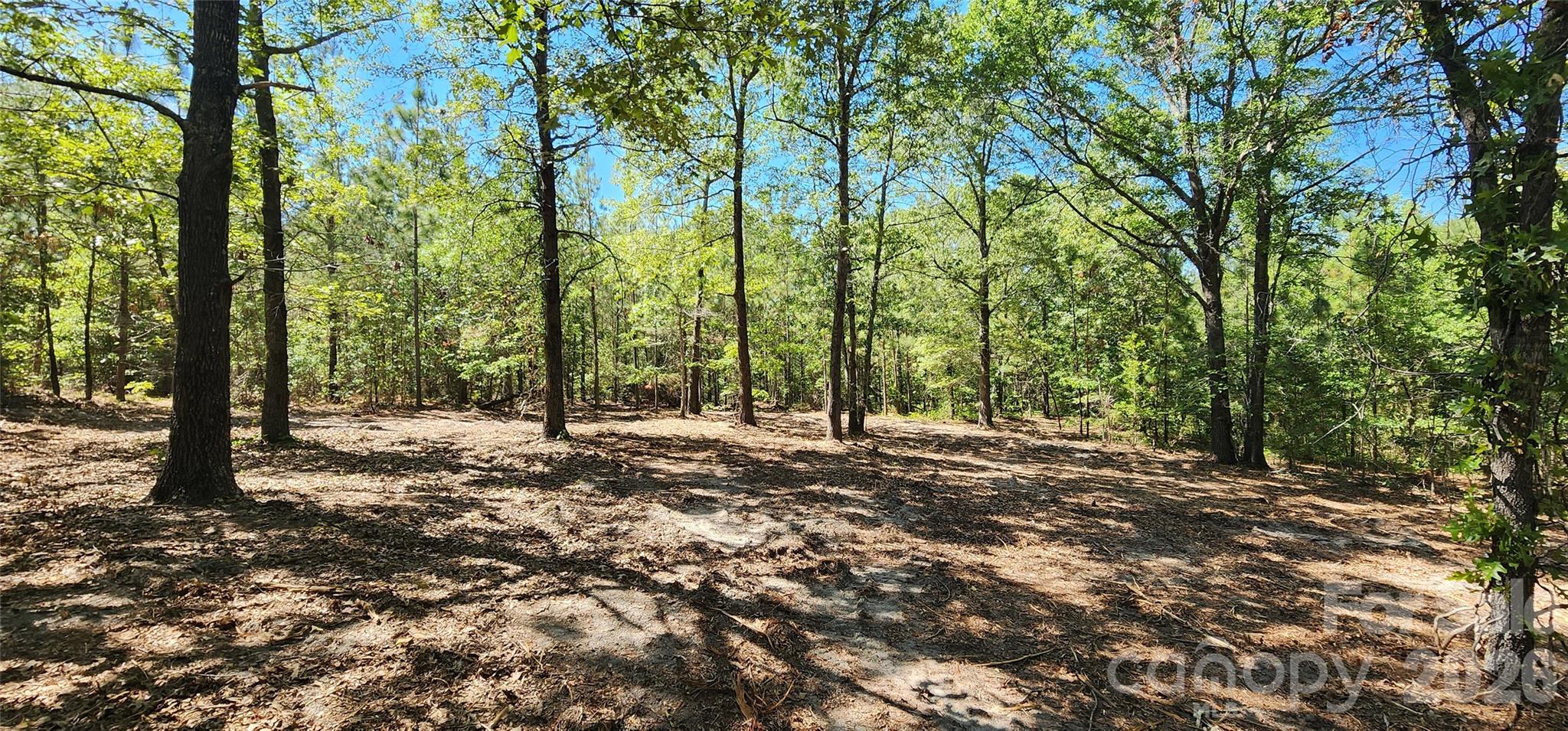 1050 Mcqueen Road