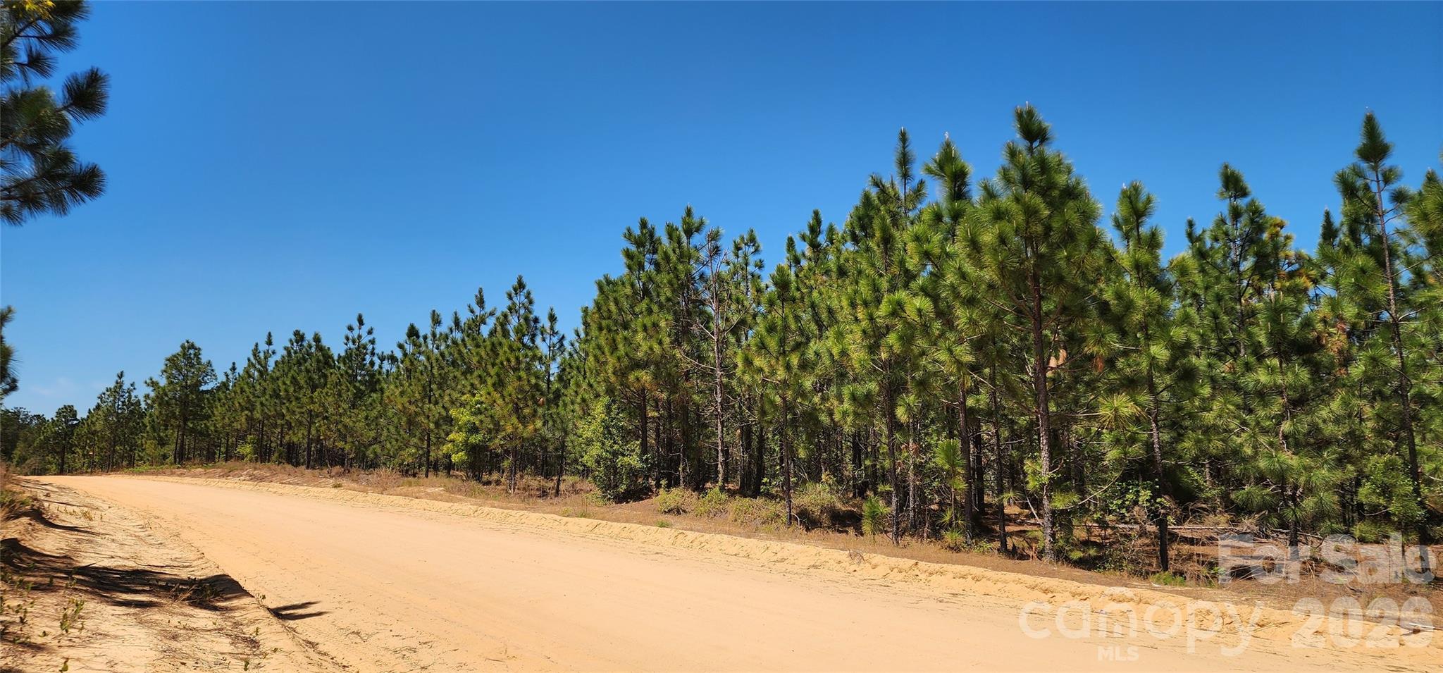 1050 Mcqueen Road Property Photo 3
