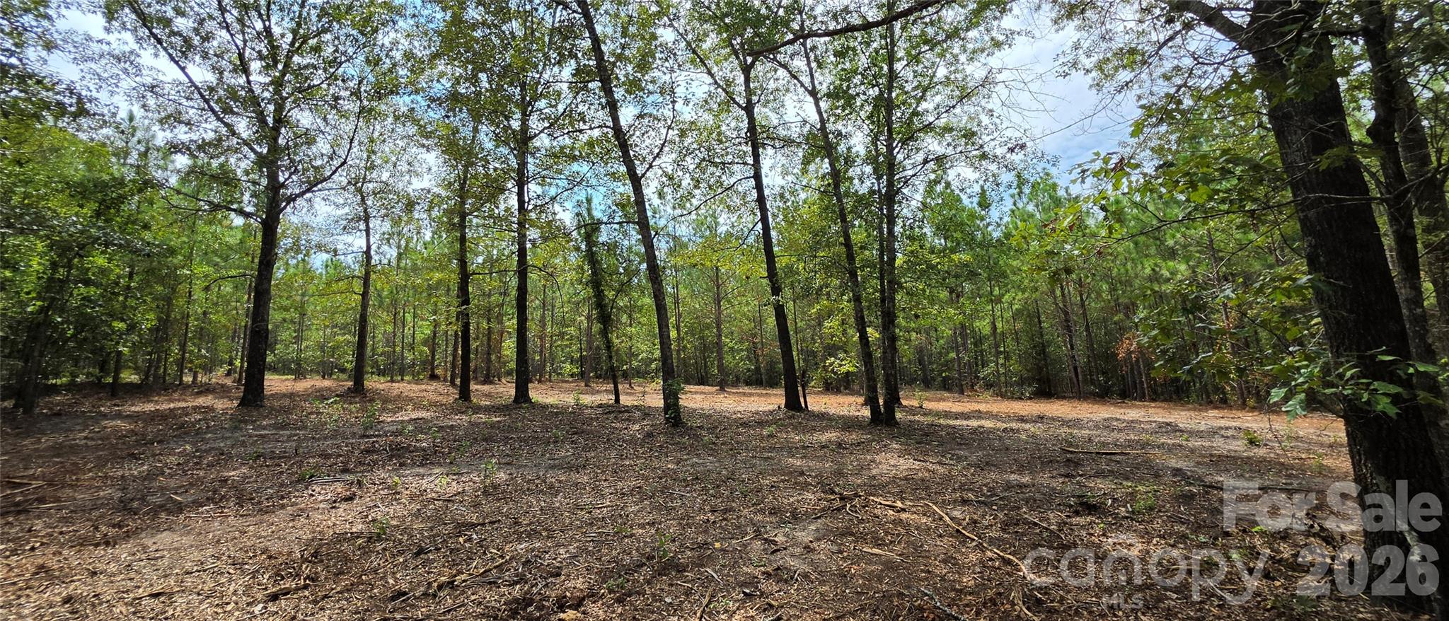 1050 Mcqueen Road Property Photo 10