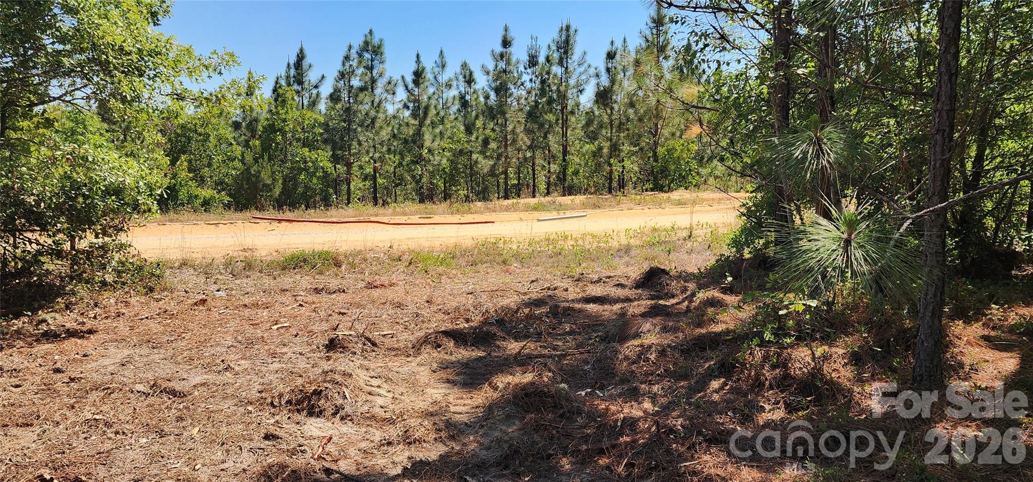 1050 Mcqueen Road Property Photo 12