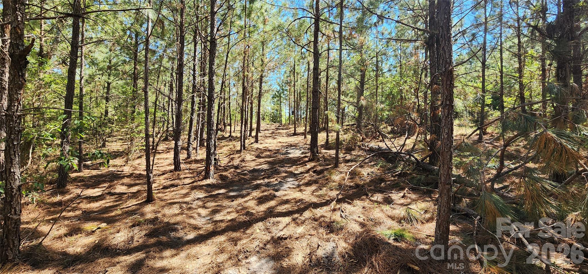 1050 Mcqueen Road Property Photo 13
