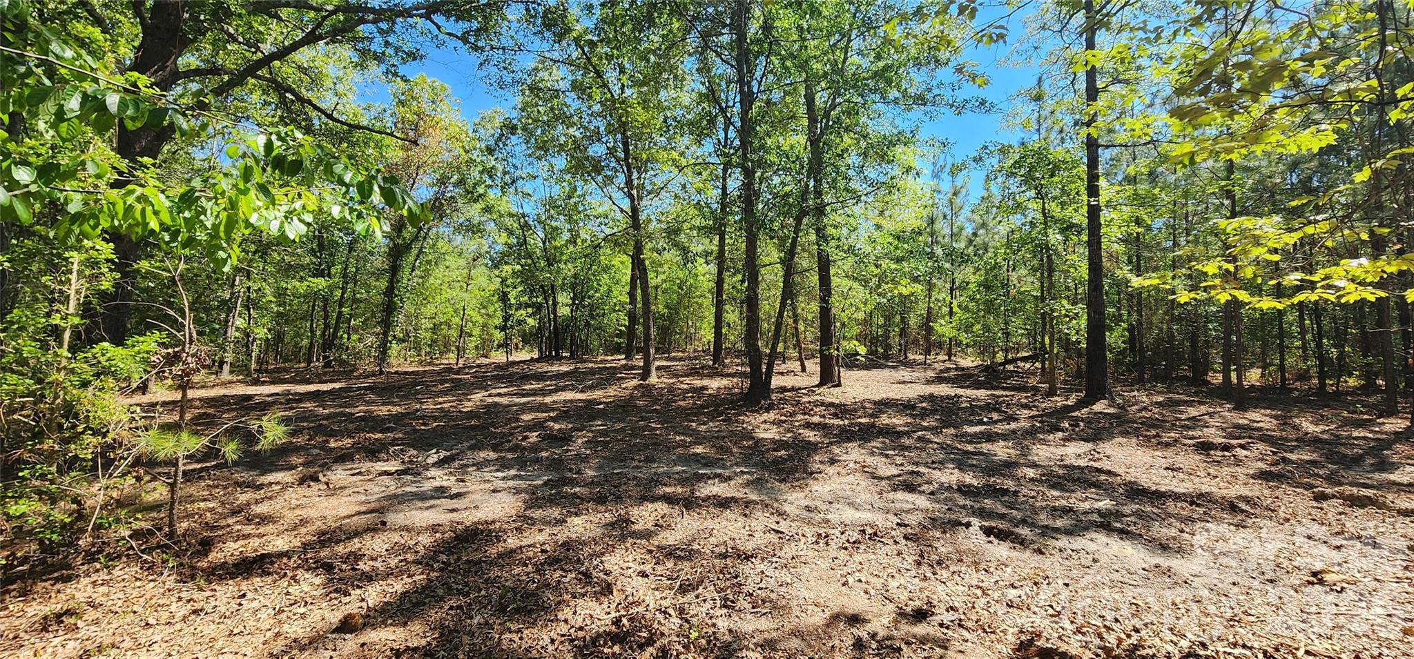 1050 Mcqueen Road Property Photo 14