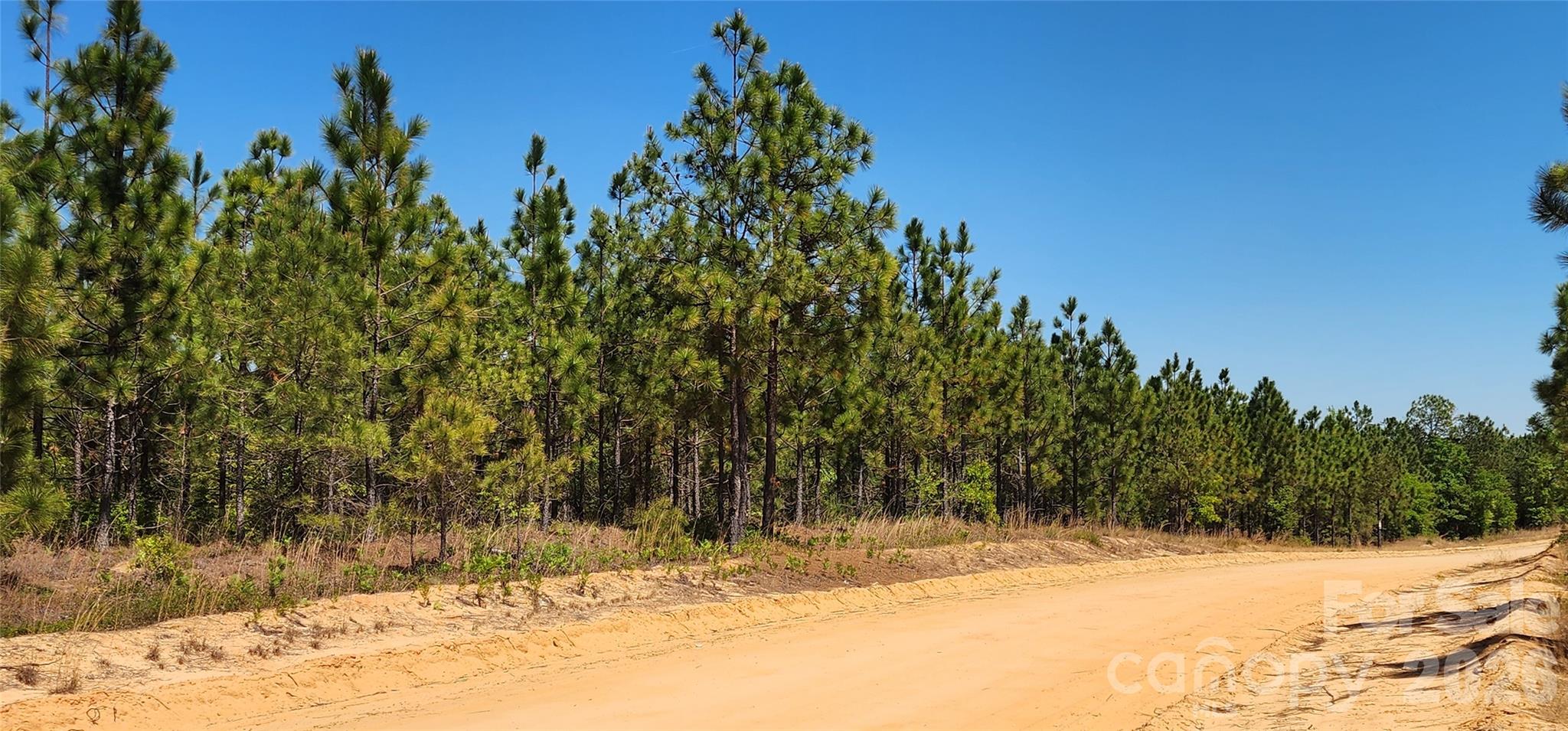1050 Mcqueen Road Property Photo 19