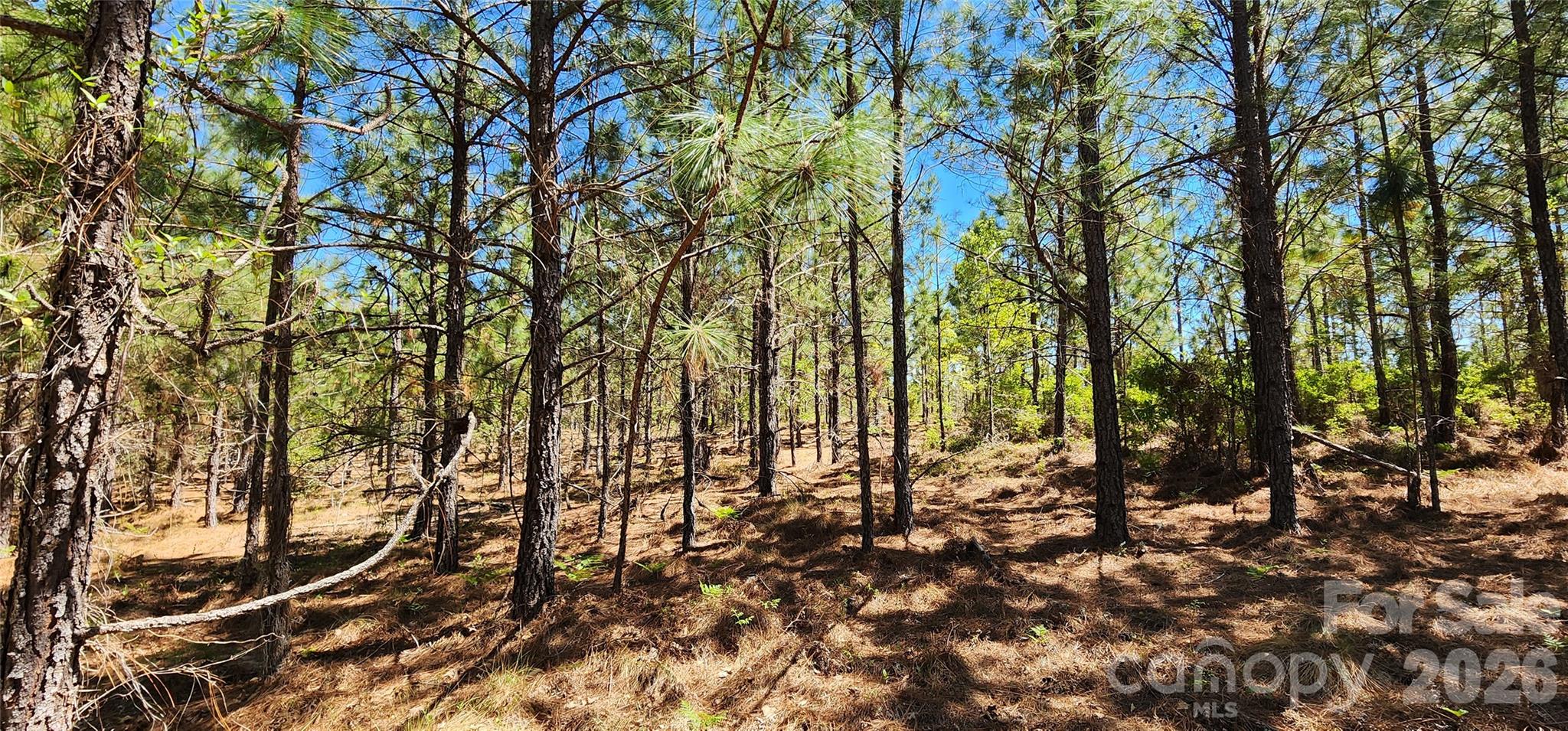 1050 Mcqueen Road Property Photo 20