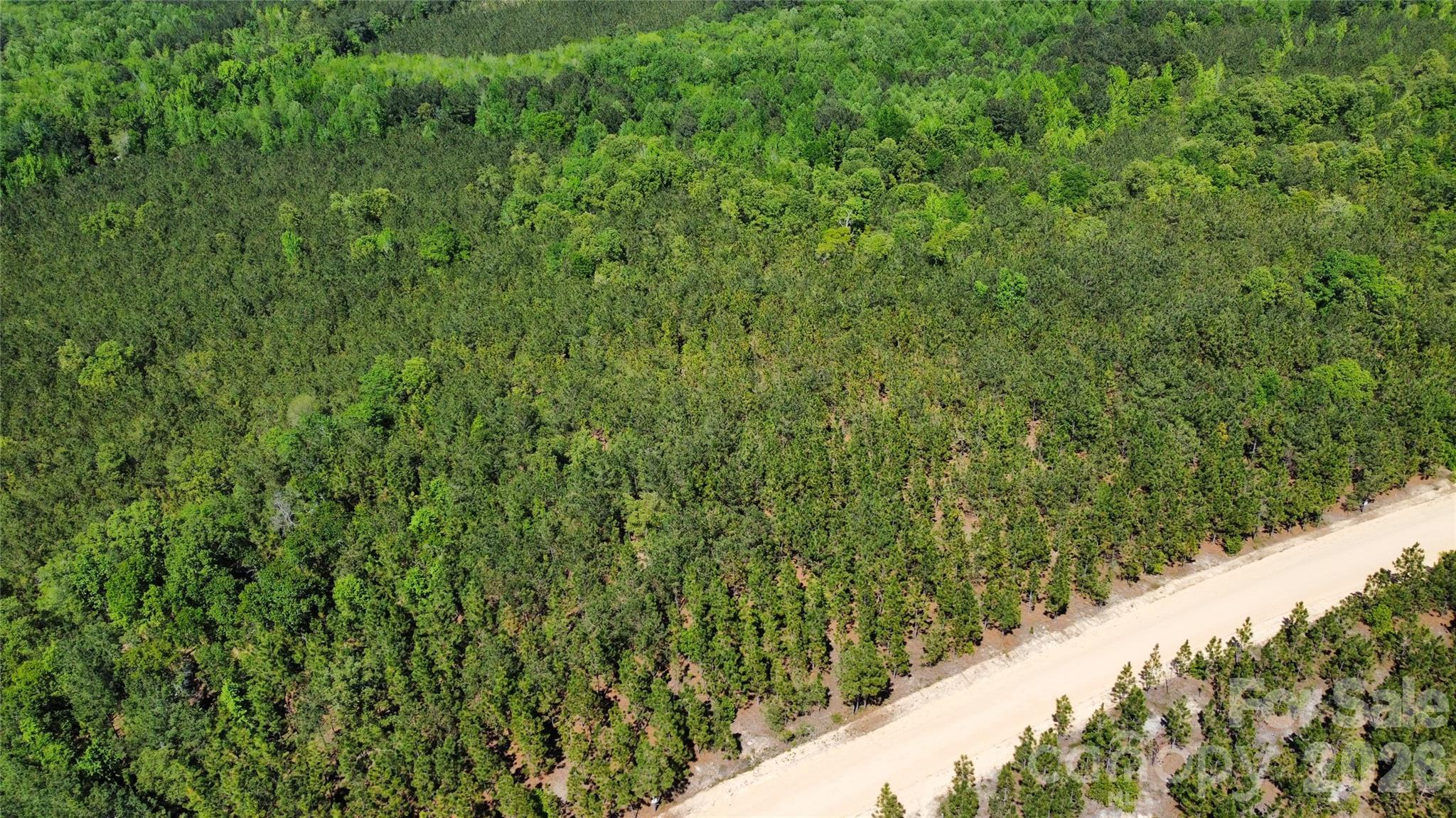 1050 Mcqueen Road Property Photo 22