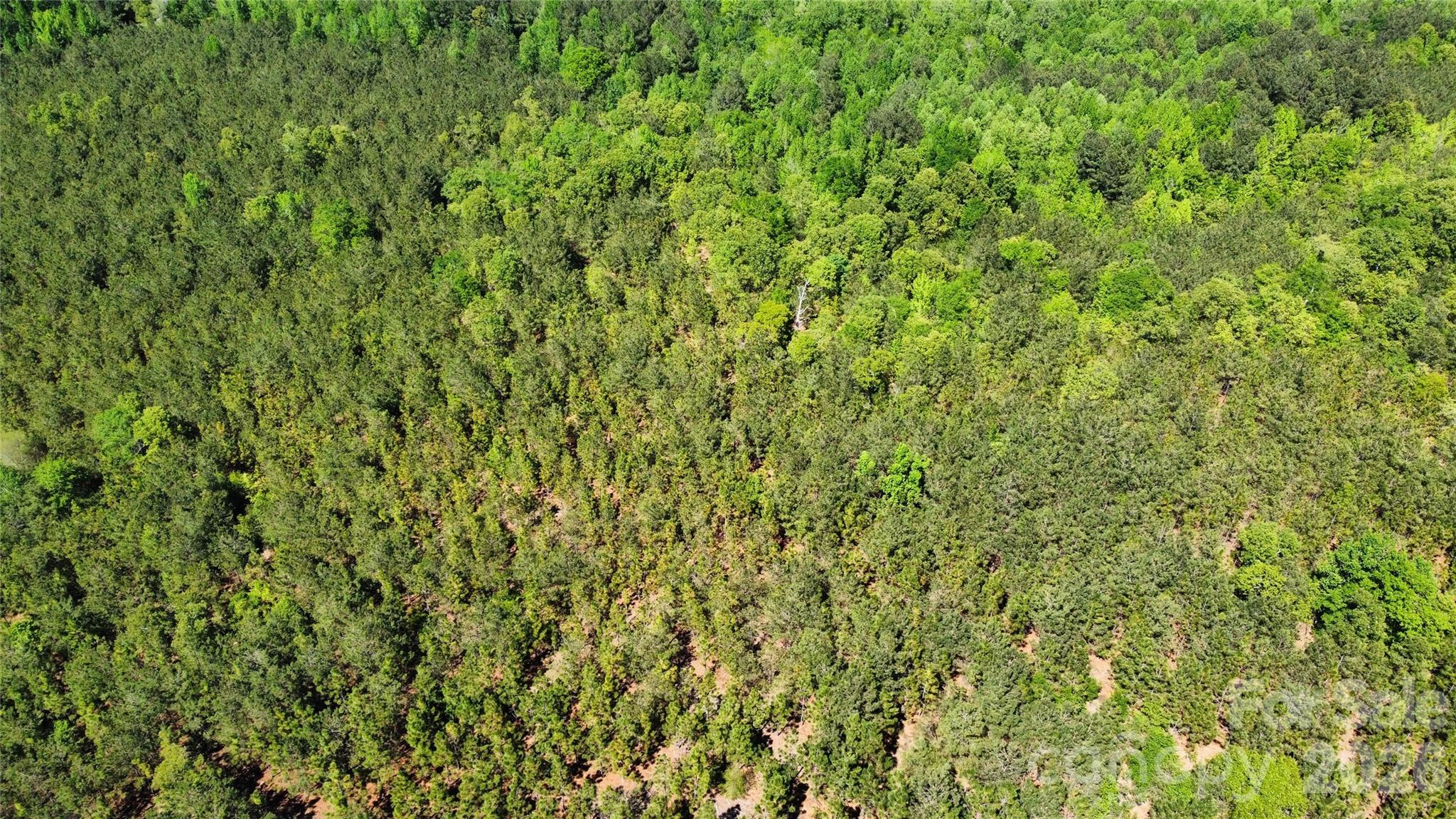 1050 Mcqueen Road Property Photo 23