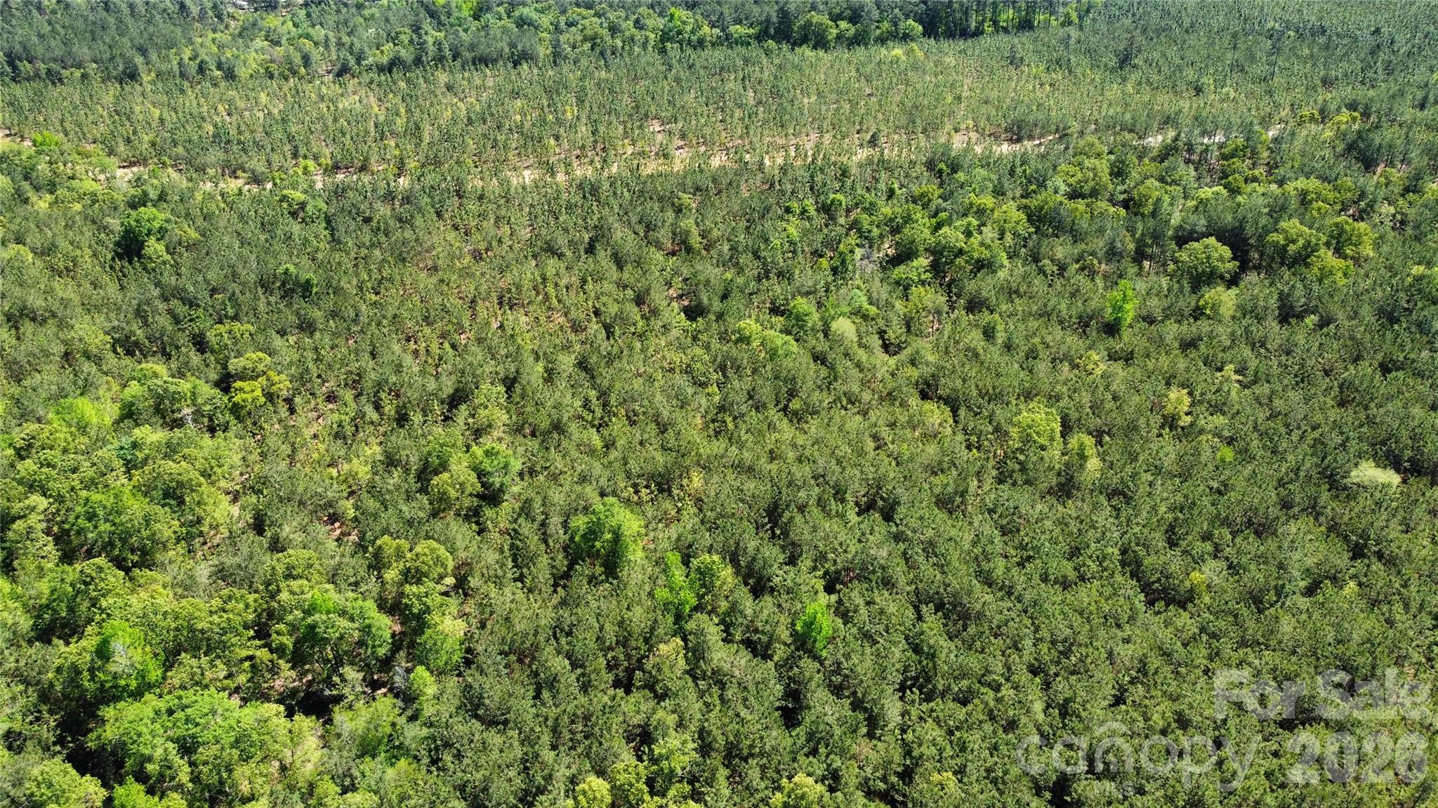 1050 Mcqueen Road Property Photo 25