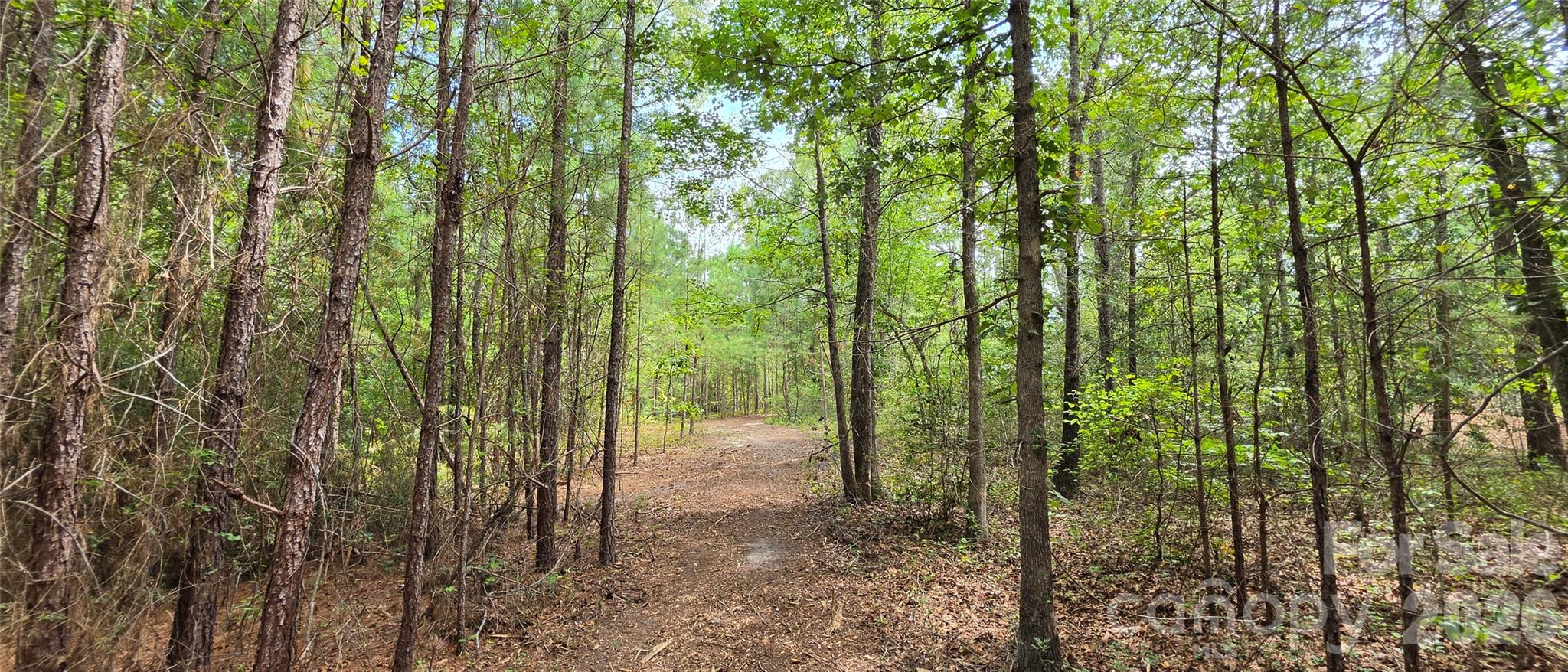 1050 Mcqueen Road Property Photo 30