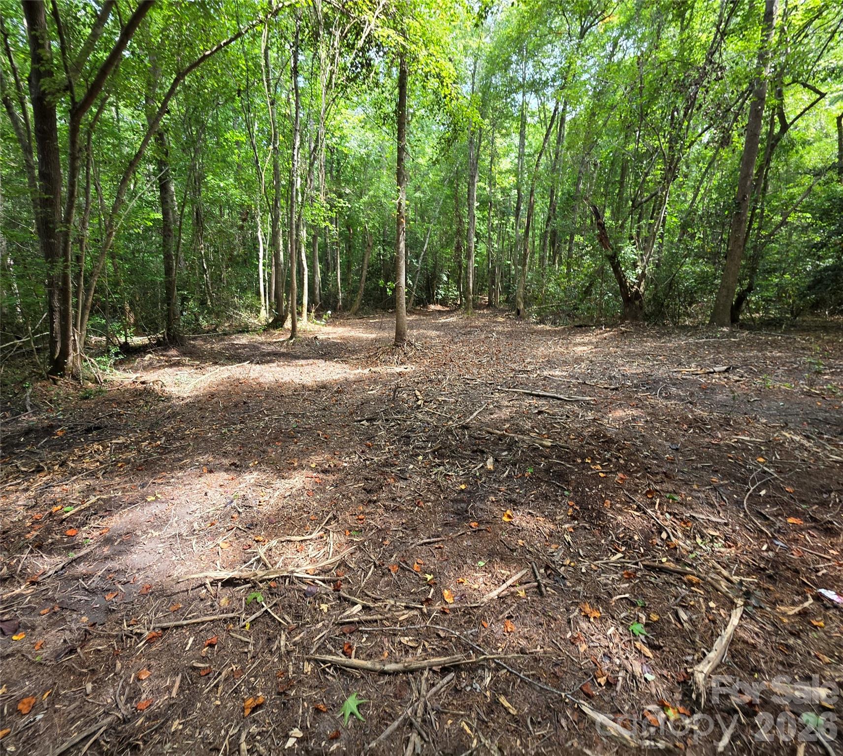 1050 Mcqueen Road Property Photo 33