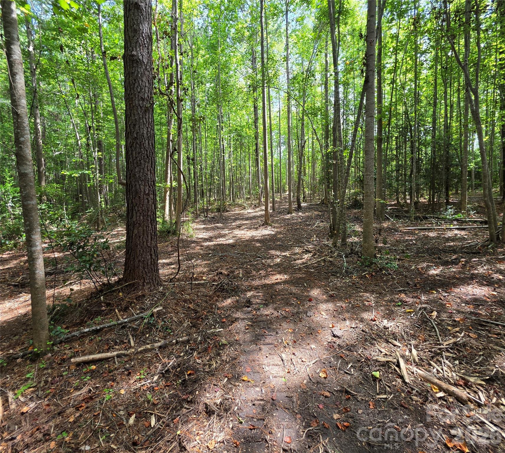1050 Mcqueen Road Property Photo 34