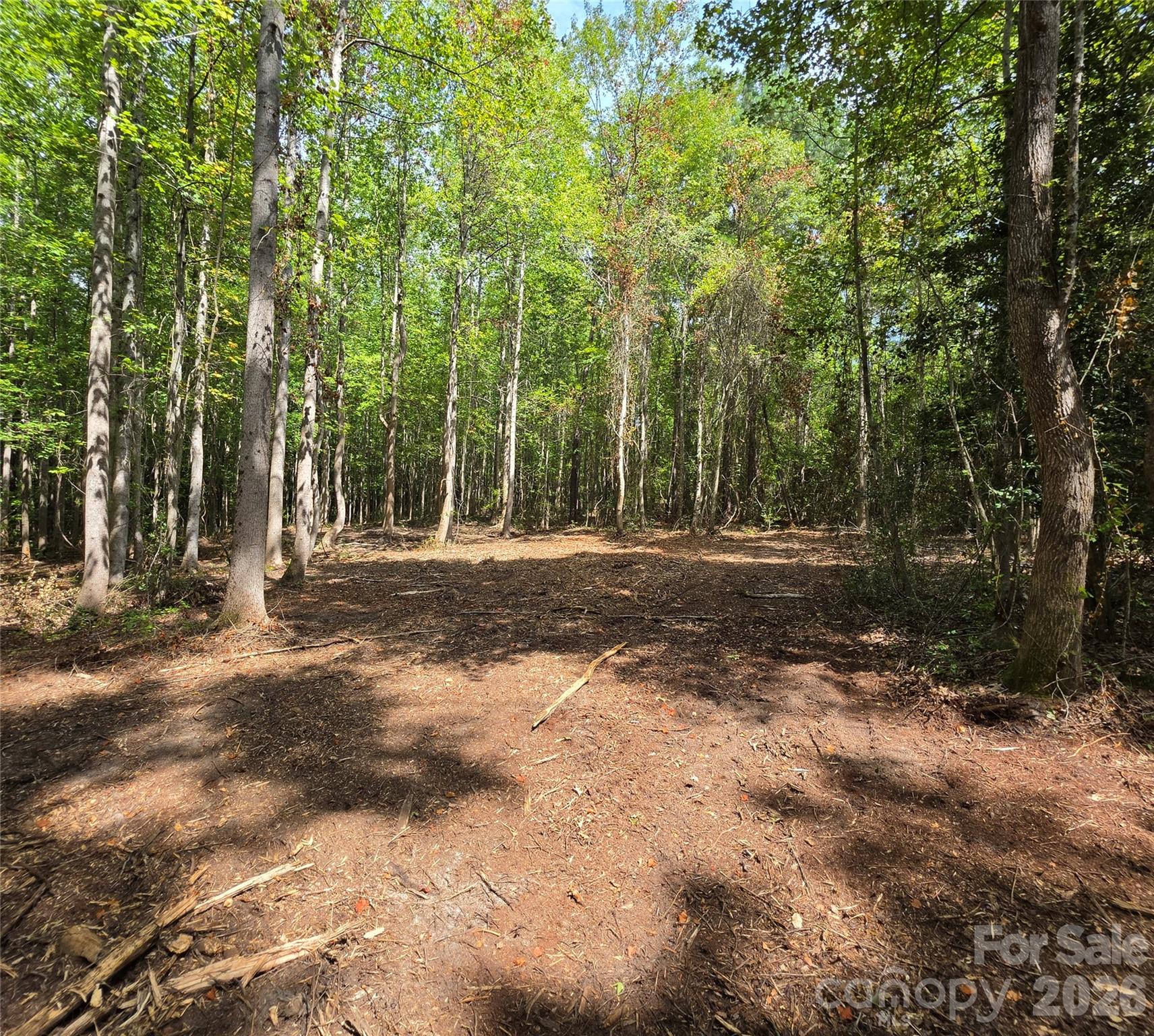1050 Mcqueen Road Property Photo 35