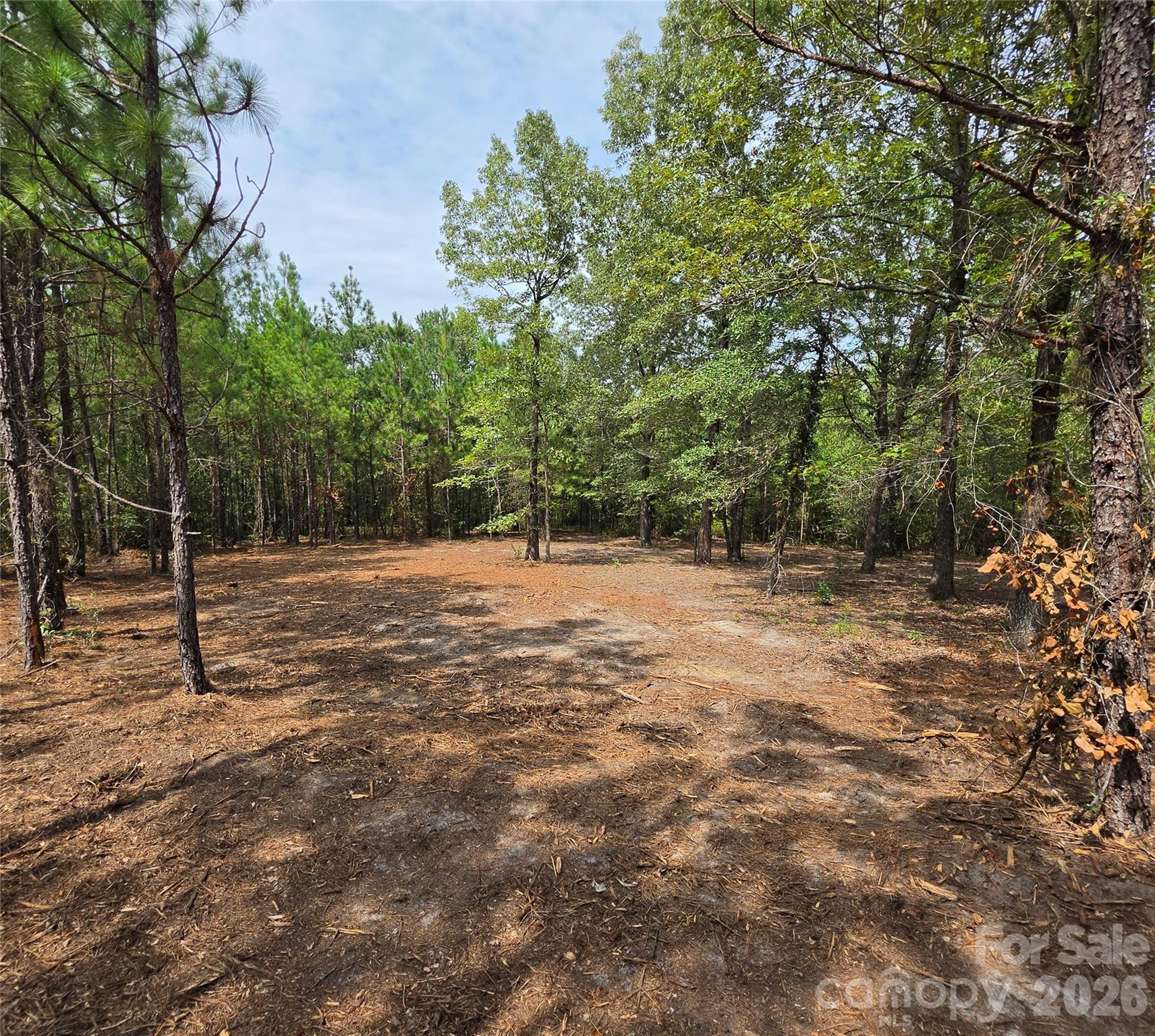 1050 Mcqueen Road Property Photo 36