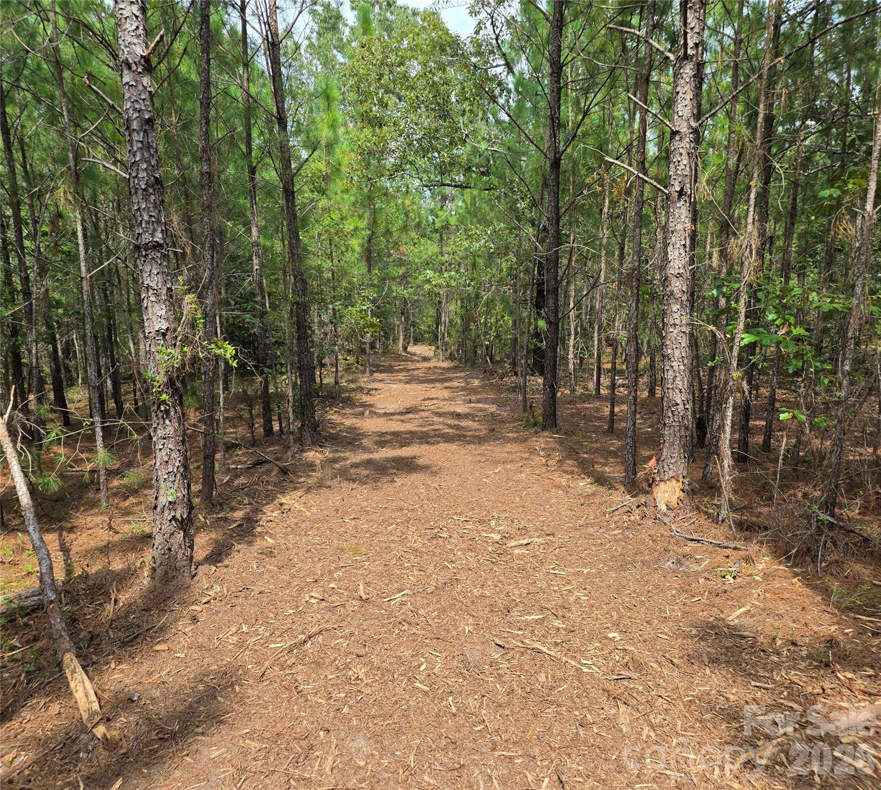 1050 Mcqueen Road Property Photo 37