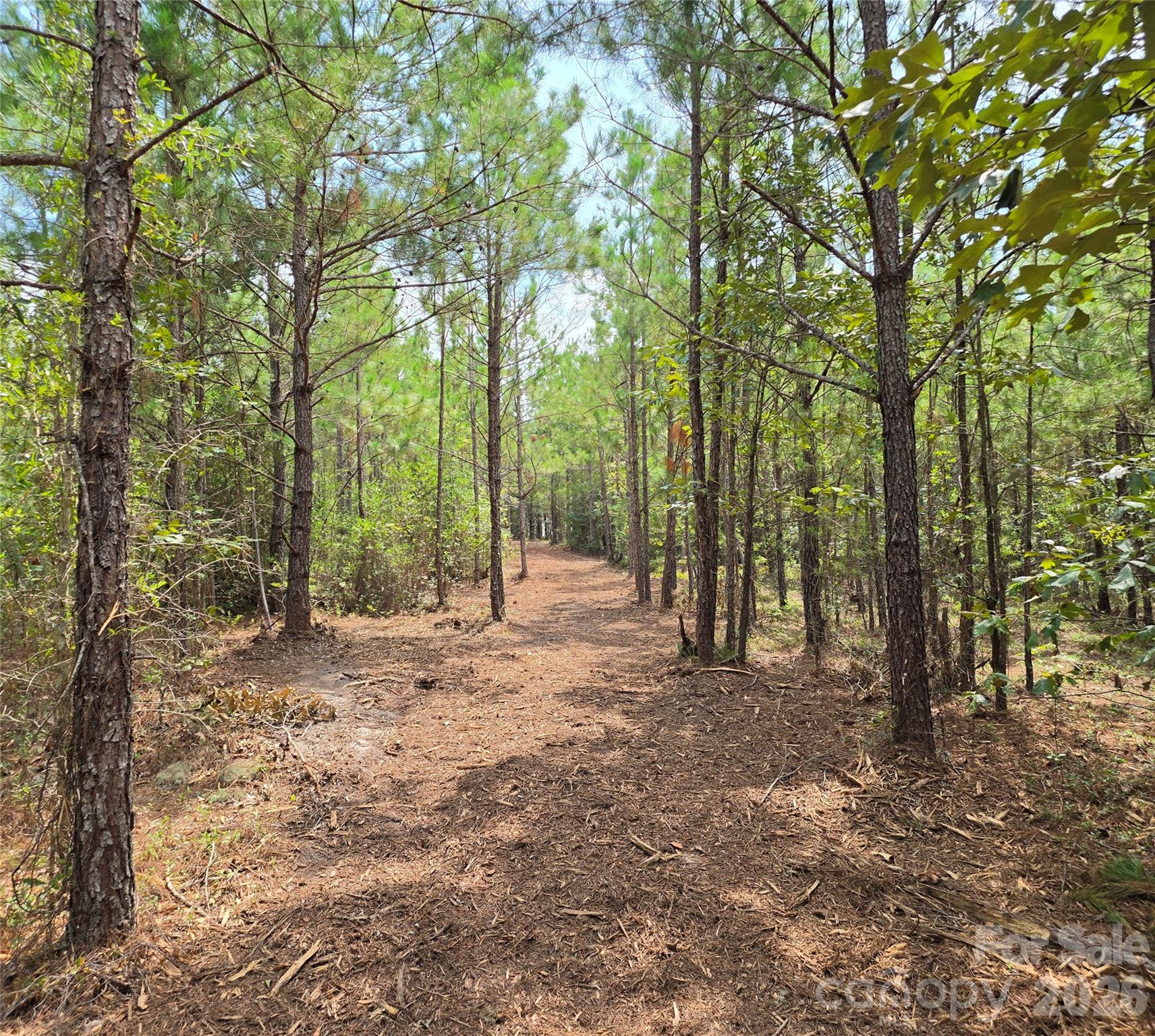 1050 Mcqueen Road Property Photo 38