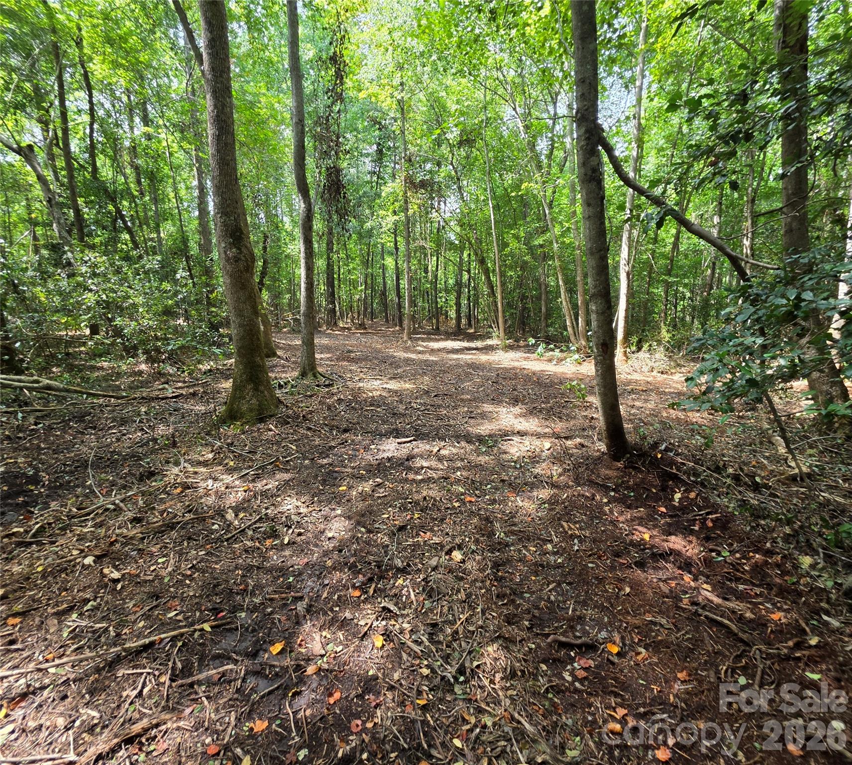 1050 Mcqueen Road Property Photo 42