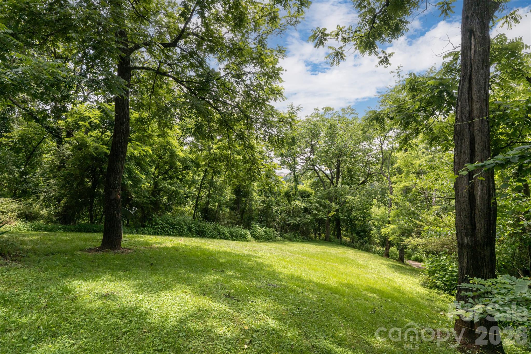 119 Old Salem Branch Drive 1b Property Photo 6