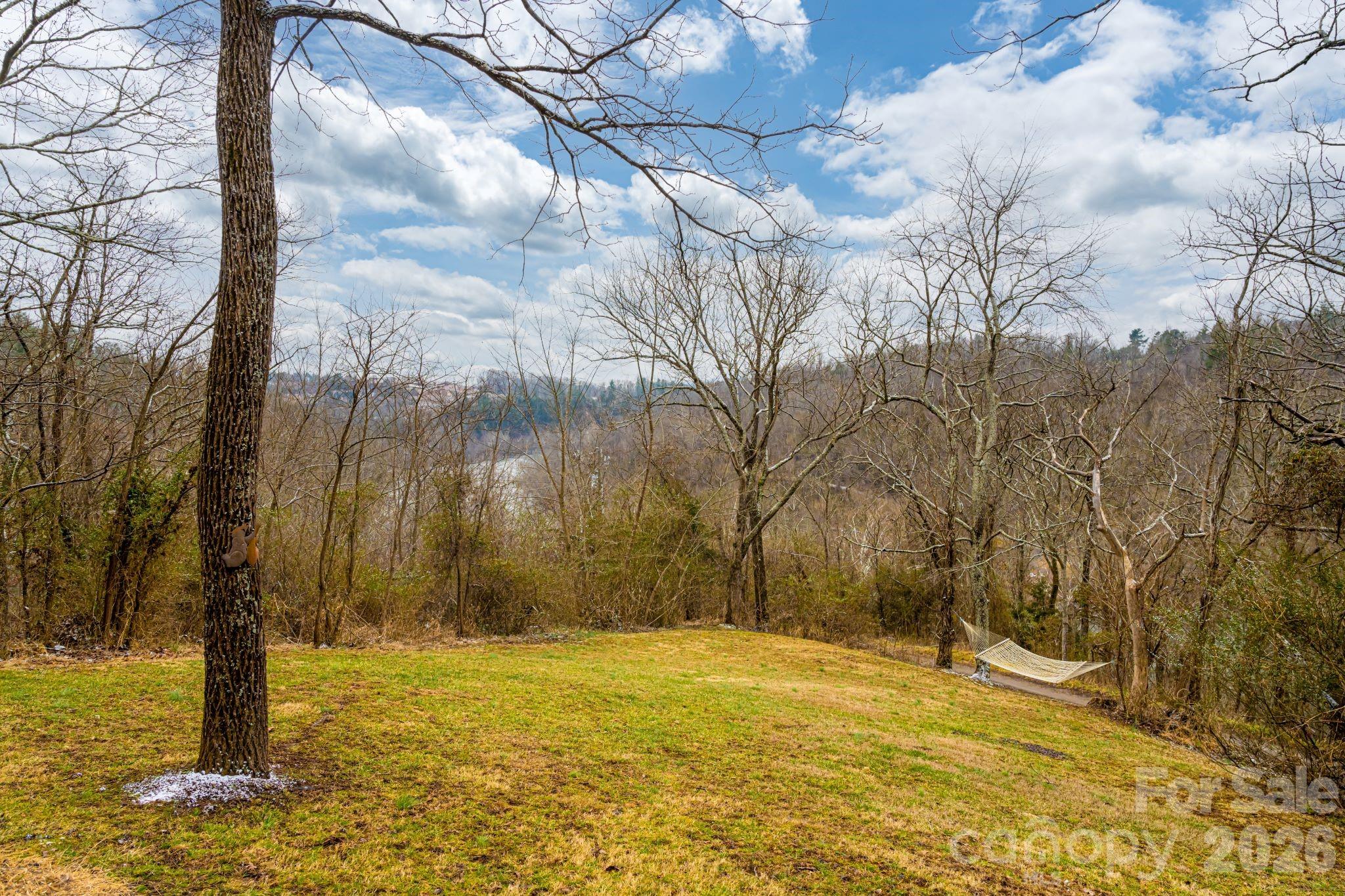 119 Old Salem Branch Drive 1b Property Photo 30