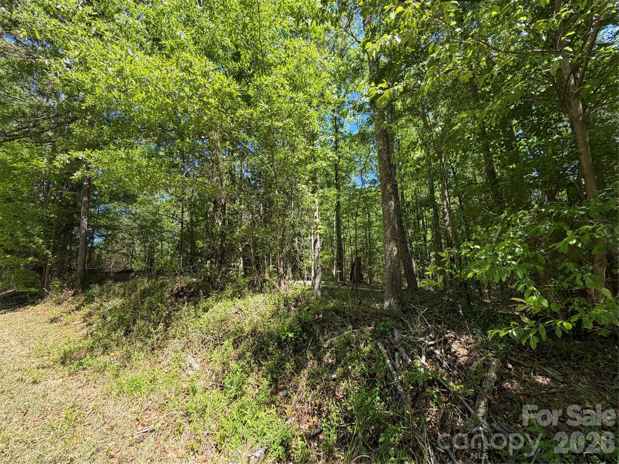 00 Providence Road Property Photo 6