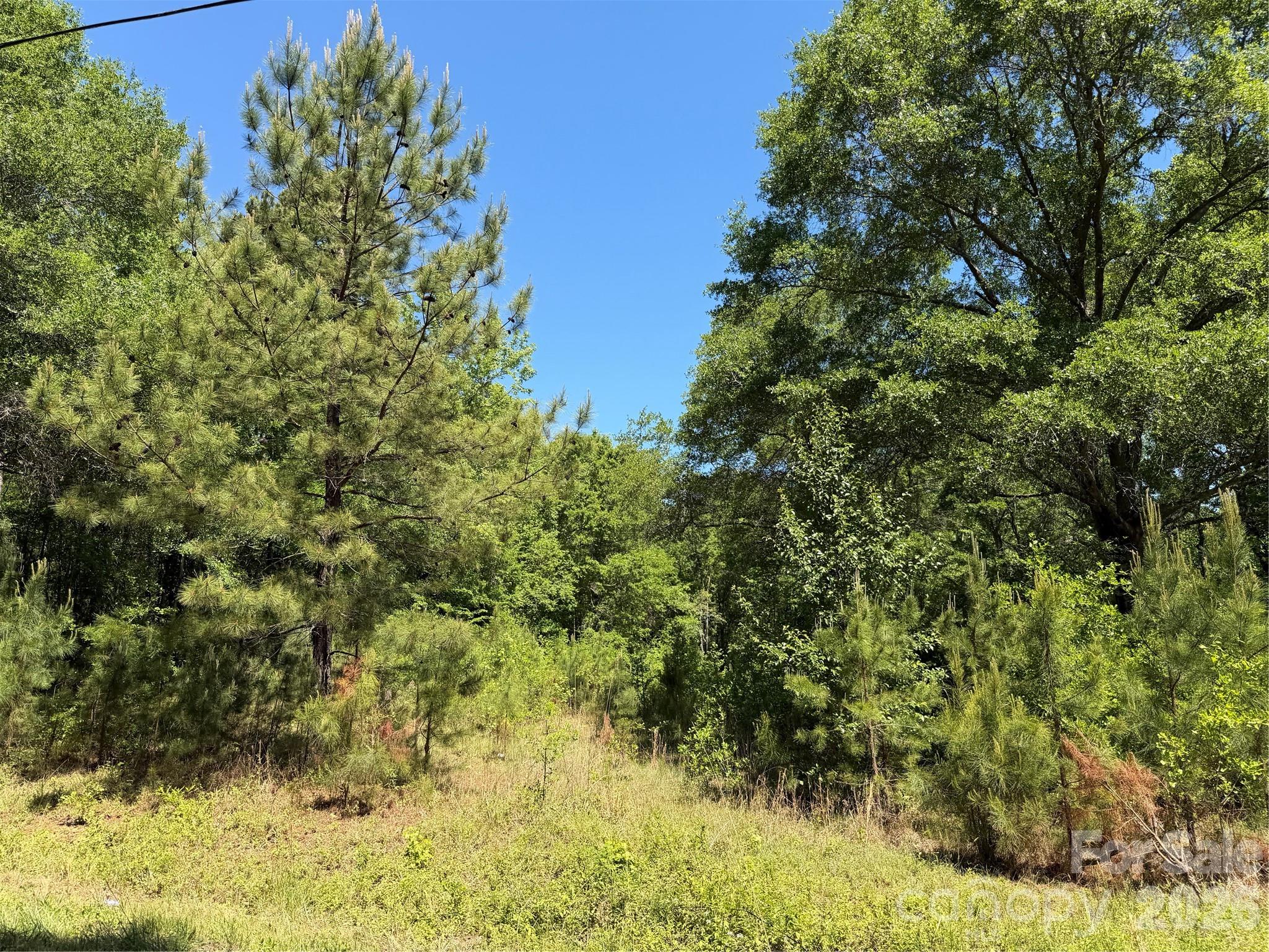 00 Providence Road Property Photo 10