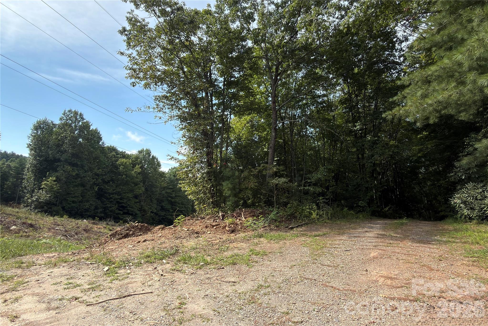 1730 Fox Hollow Road Property Photo 1
