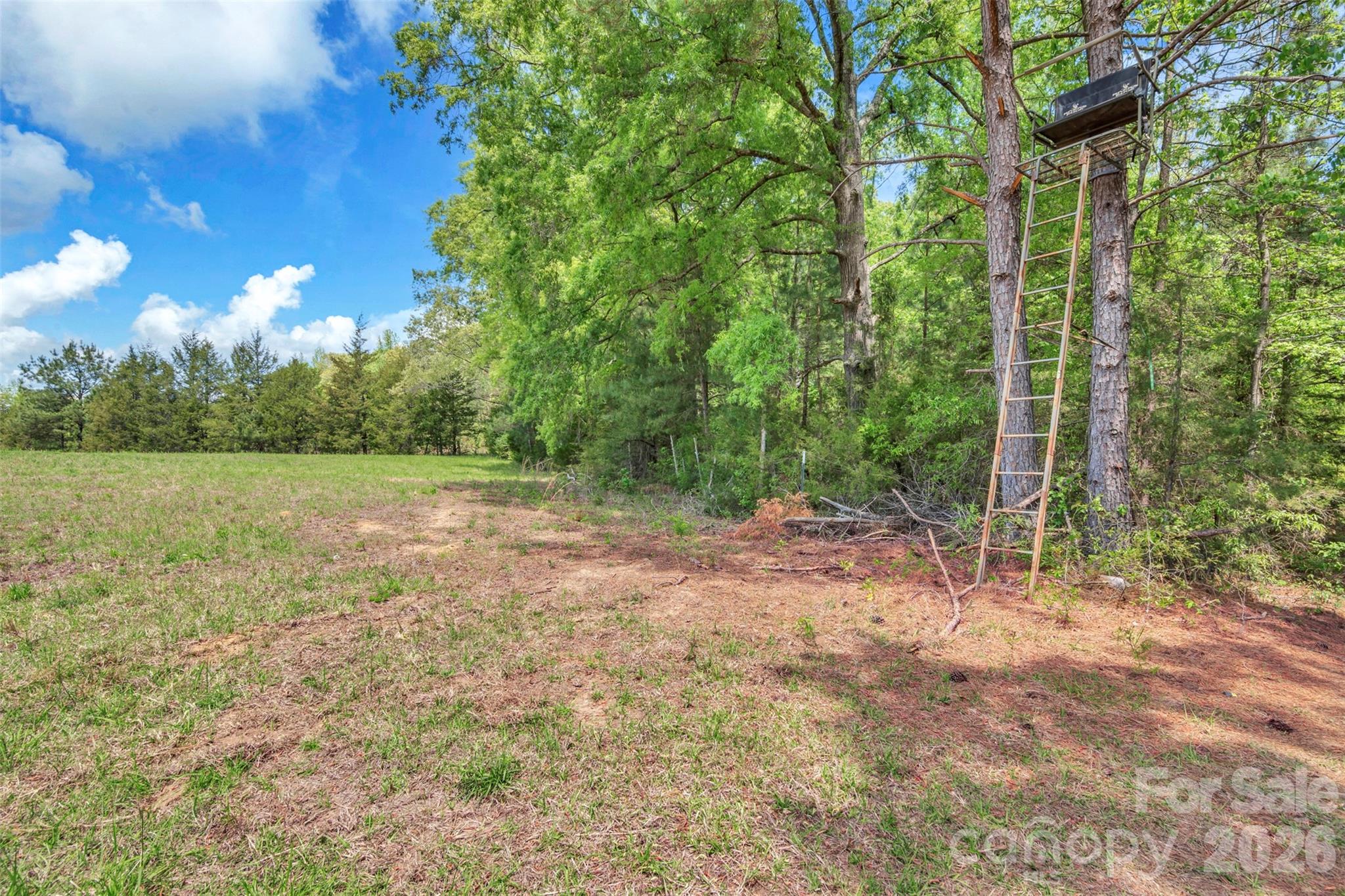 1958 Boyd Road Property Photo 4