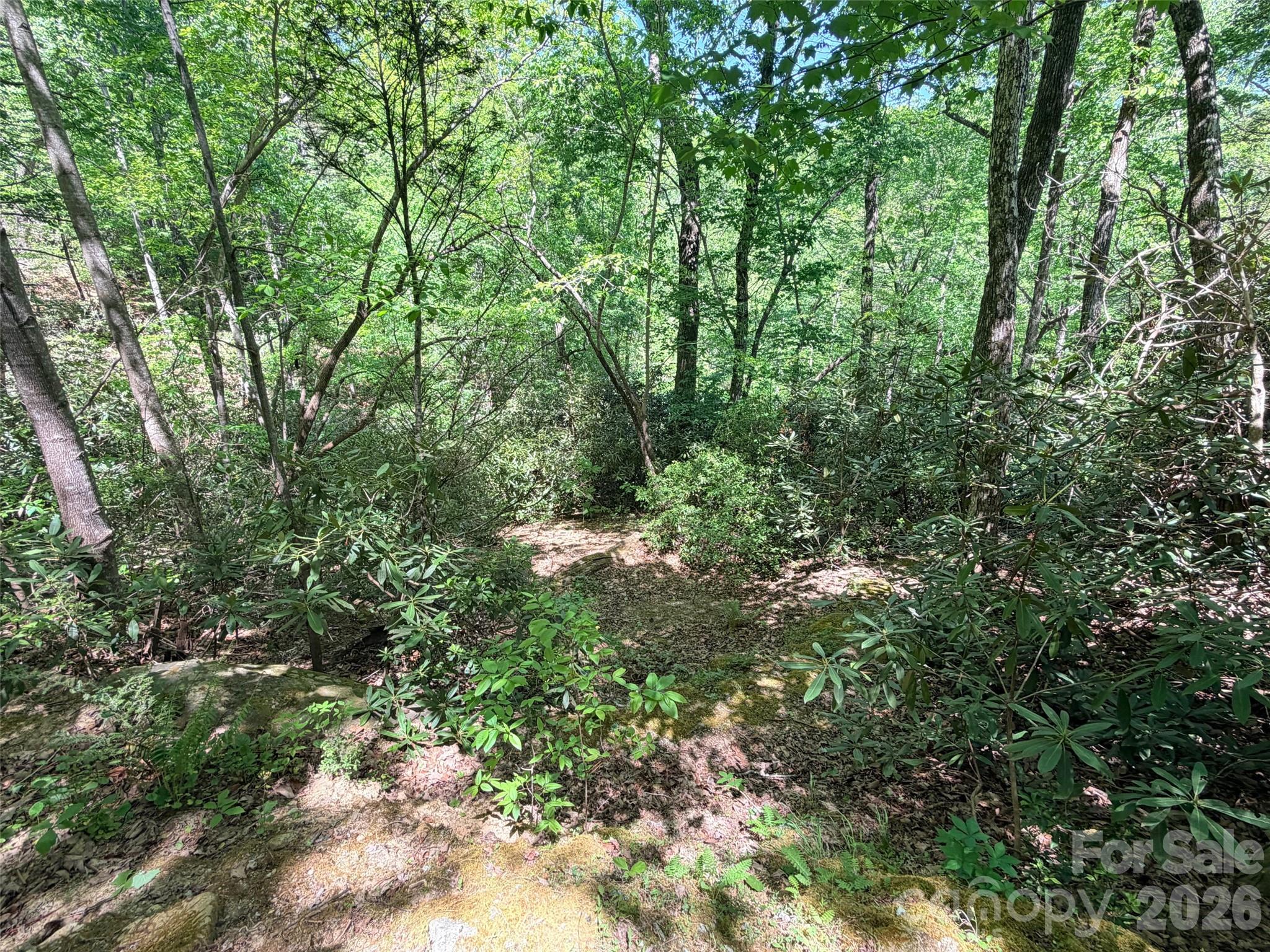 595 Quail Ridge Boulevard Property Photo 6
