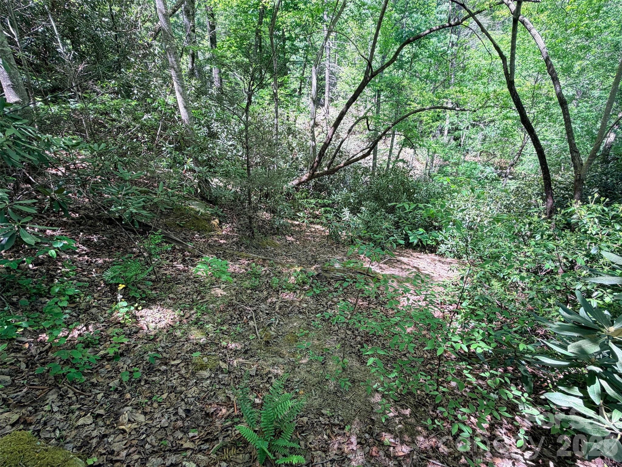 595 Quail Ridge Boulevard Property Photo 8