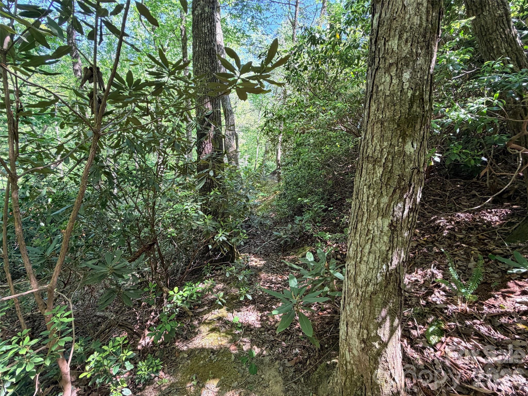 595 Quail Ridge Boulevard Property Photo 10