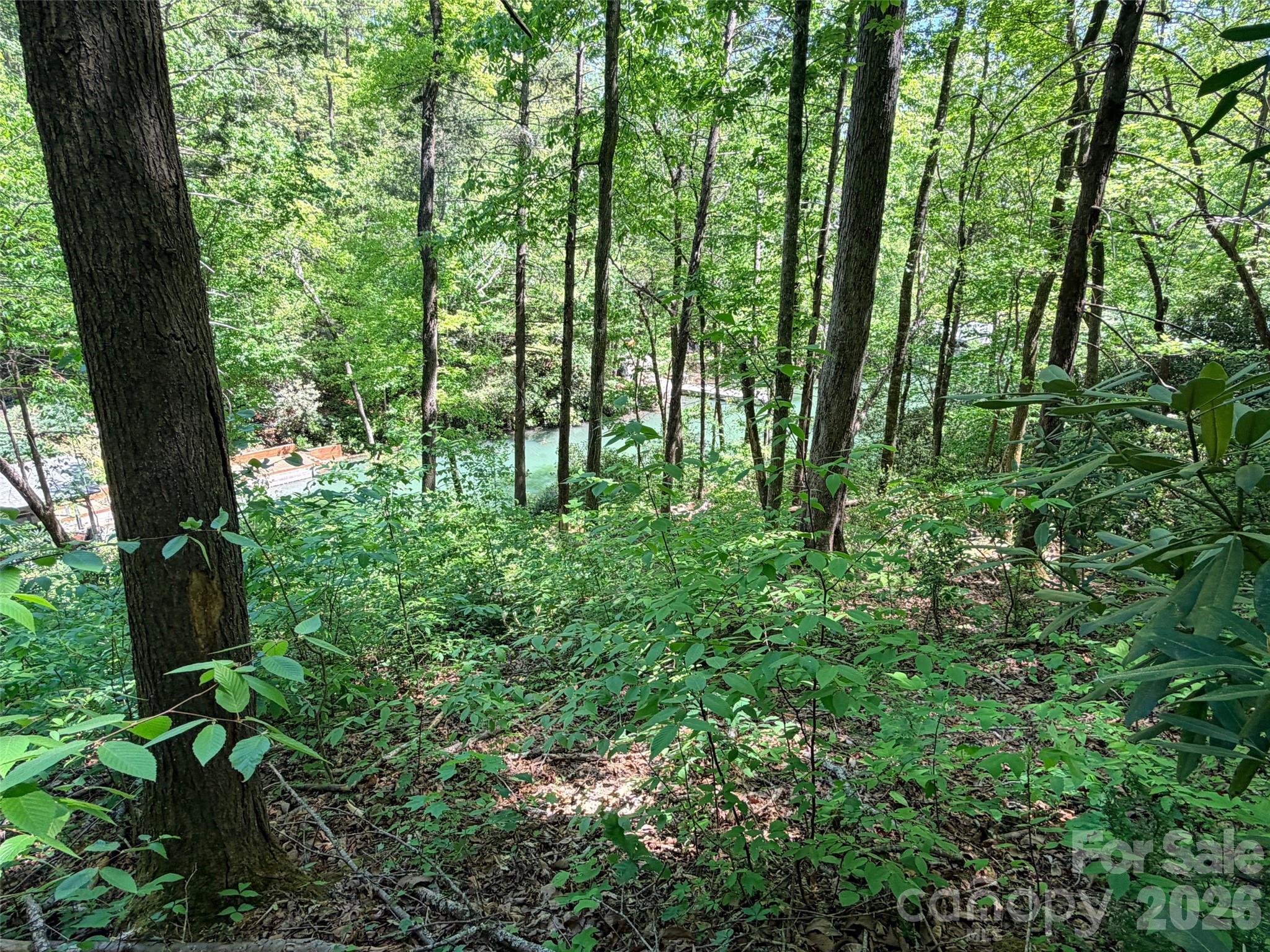 595 Quail Ridge Boulevard Property Photo 13