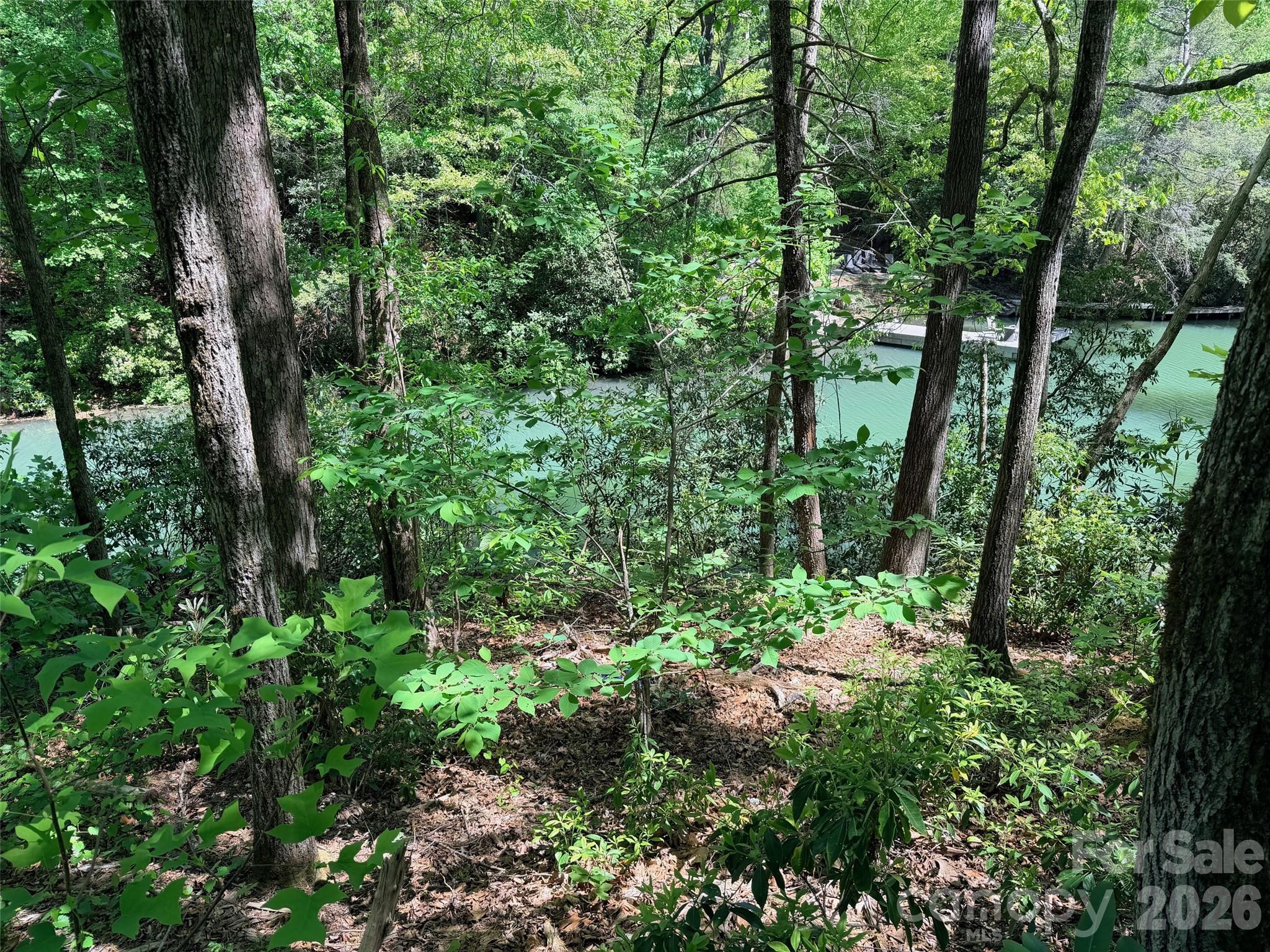 595 Quail Ridge Boulevard Property Photo 29