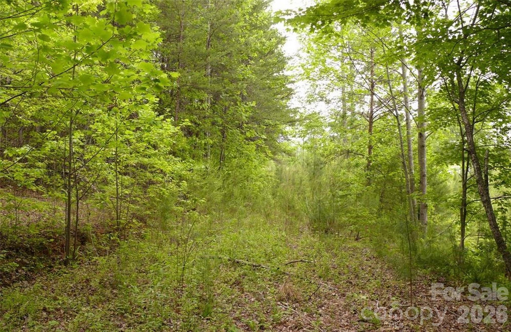 0 Vineyards Way 14 Property Photo 1