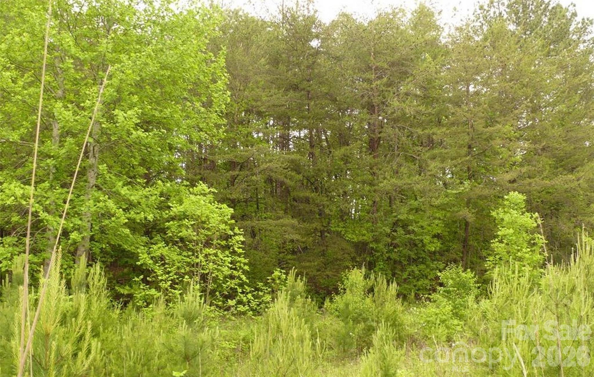0 Vineyards Way 14 Property Photo 12