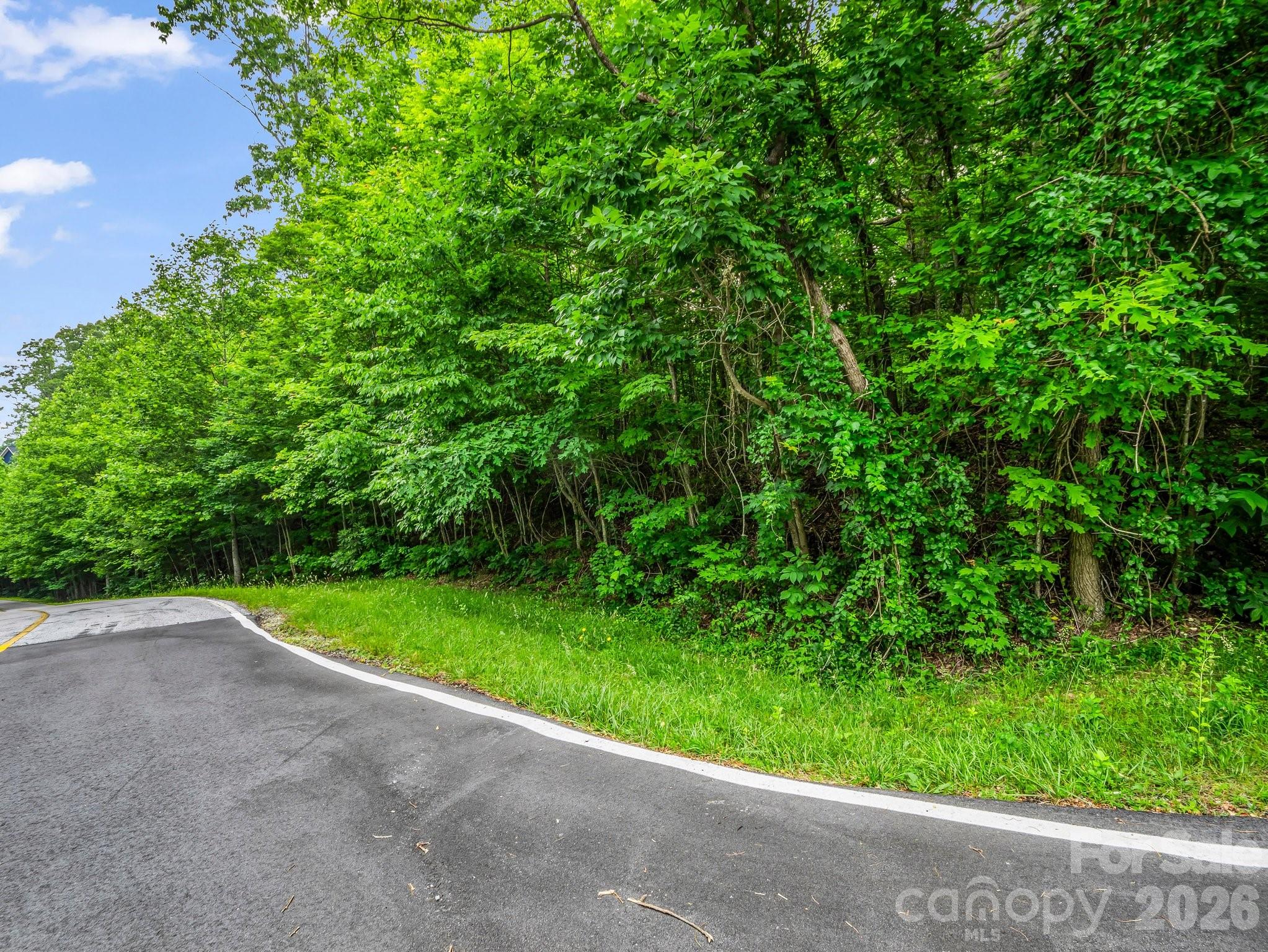 168 Tarnhill Drive Property Photo 3