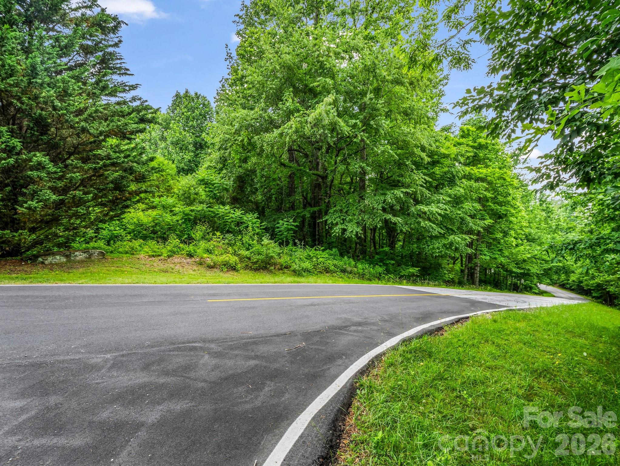 168 Tarnhill Drive Property Photo 4