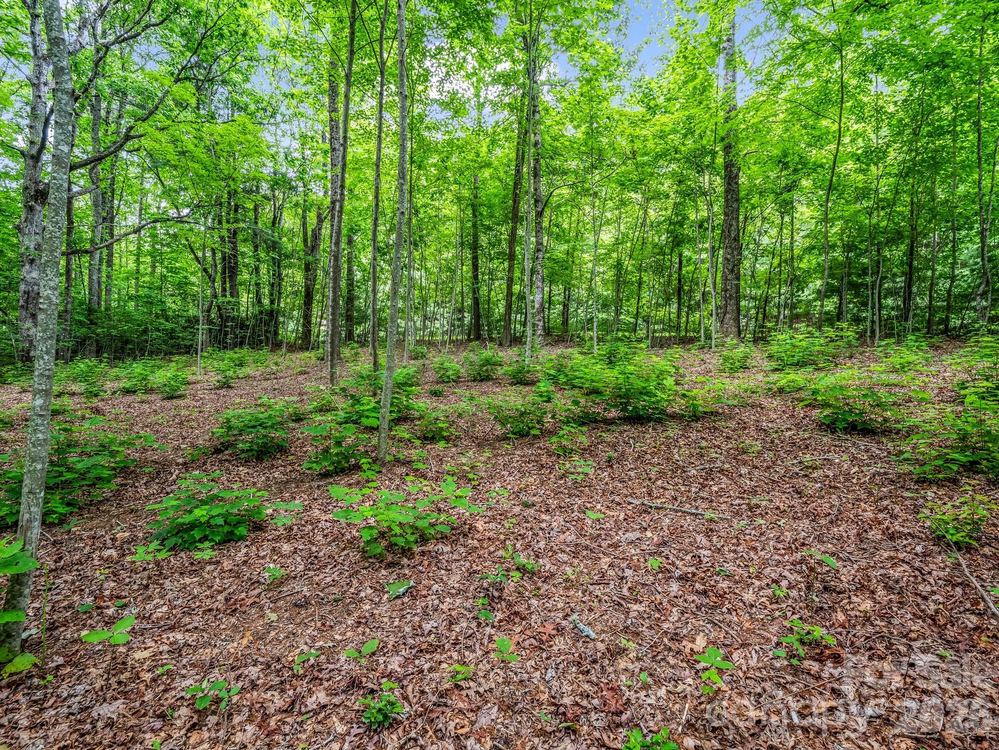 168 Tarnhill Drive Property Photo 13