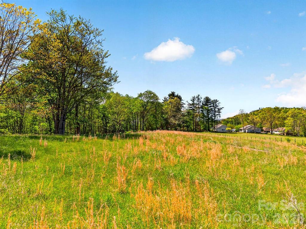 000 Etowah School Road Property Photo 8