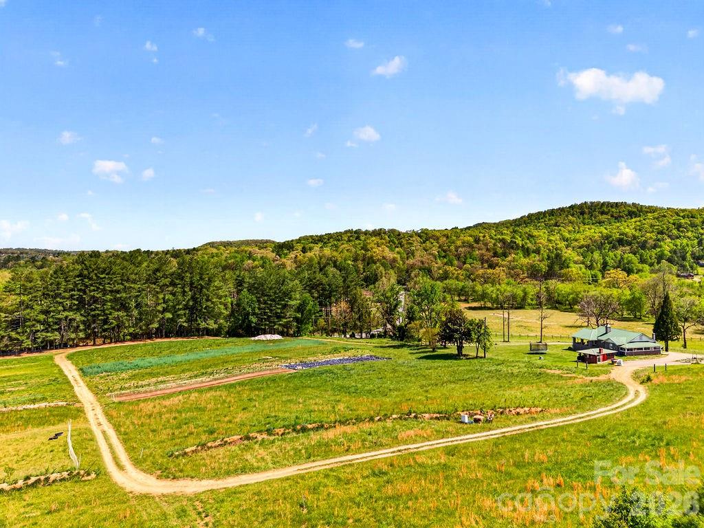 000 Etowah School Road Property Photo 9