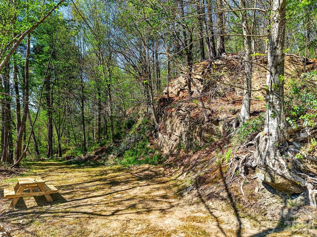000 Etowah School Road Property Photo 18
