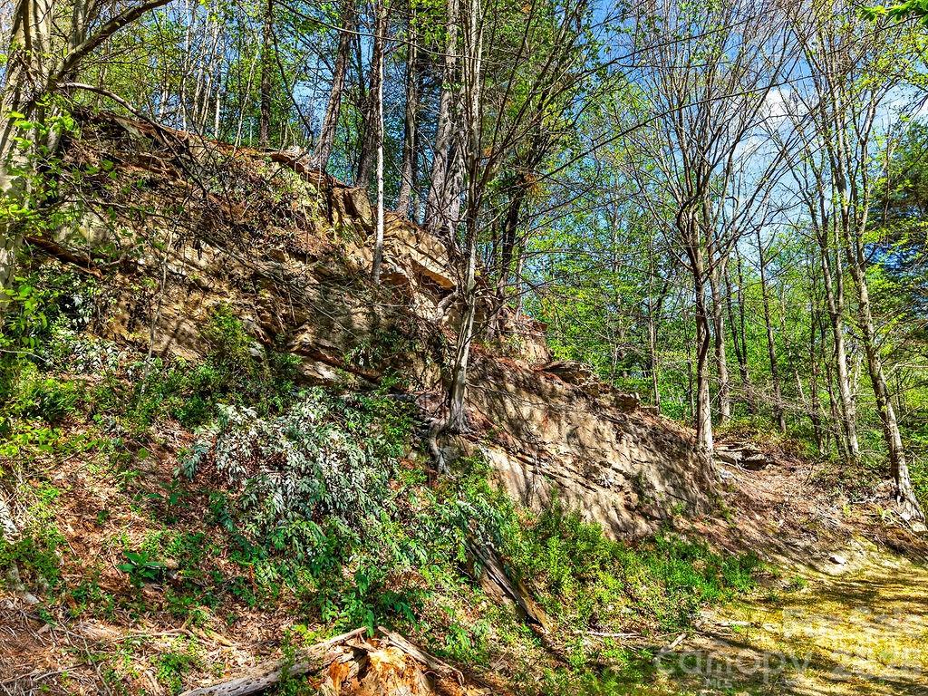 000 Etowah School Road Property Photo 19