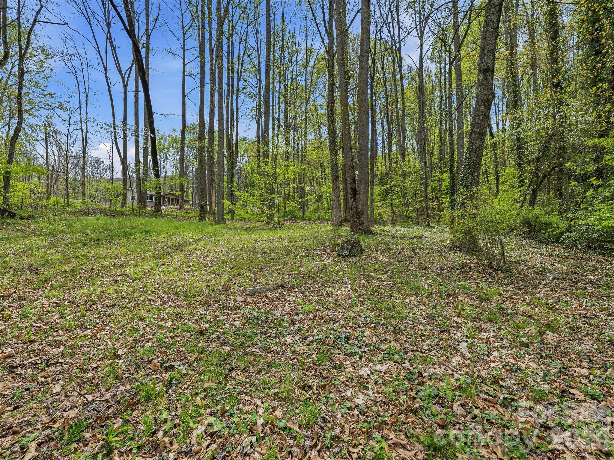 36 Dogwood Drive Property Photo 37