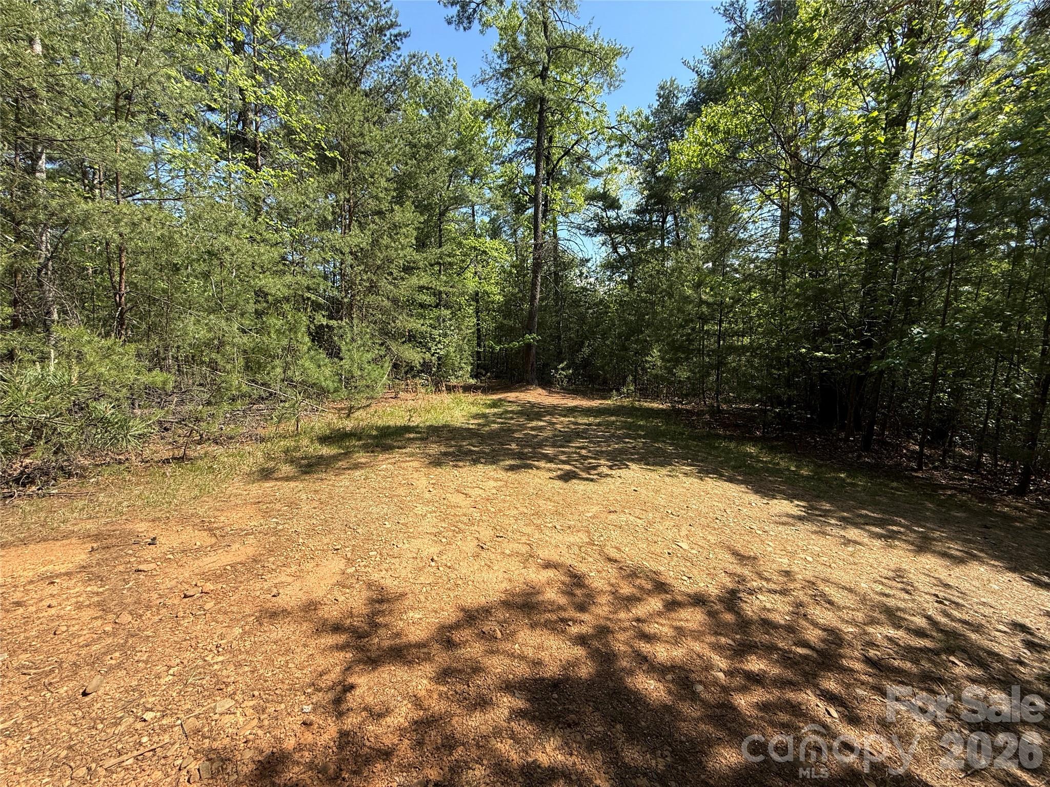 Tbd Staghorn Road 51 & 52a Property Photo 2