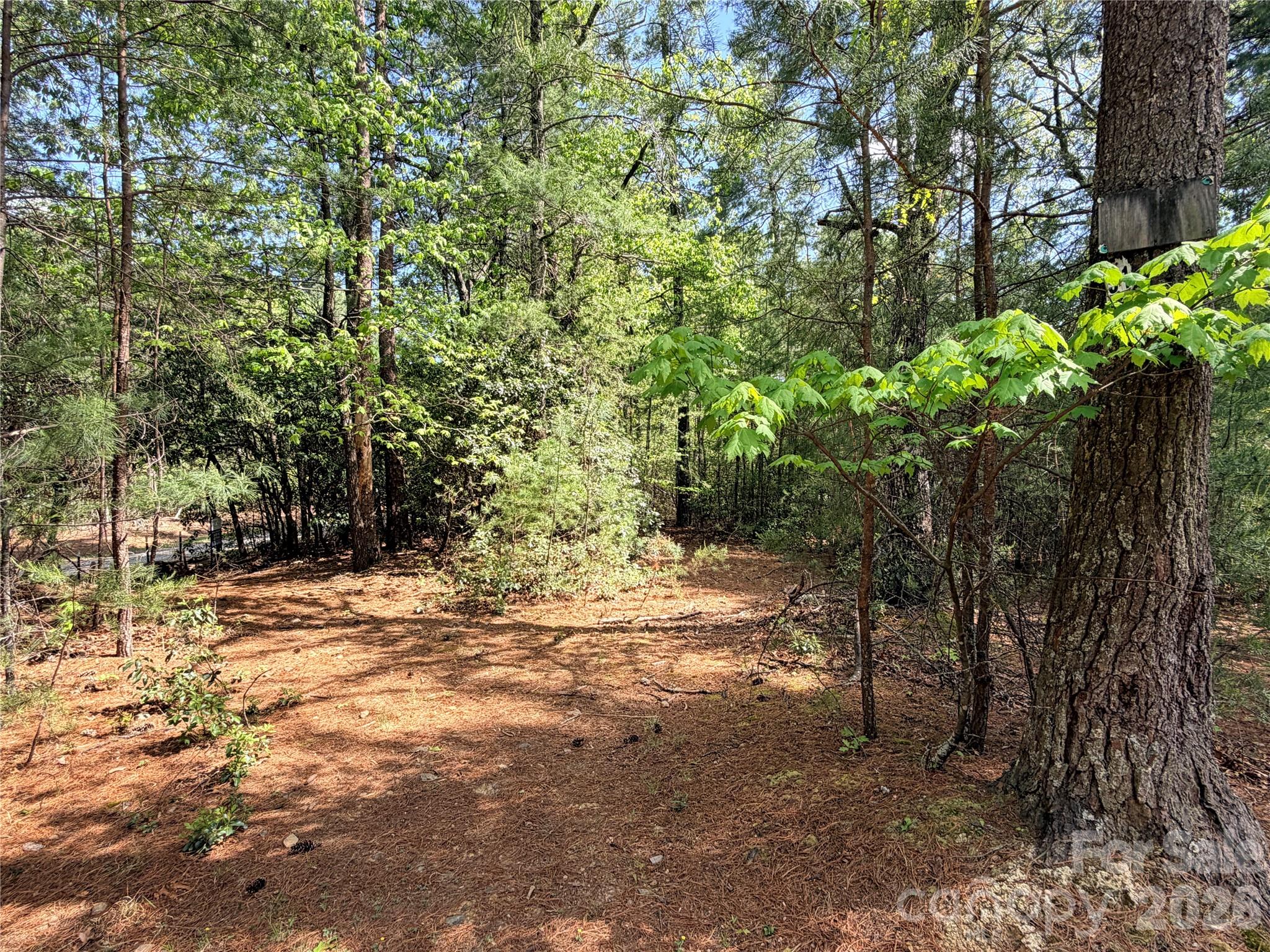Tbd Staghorn Road 51 & 52a Property Photo 4