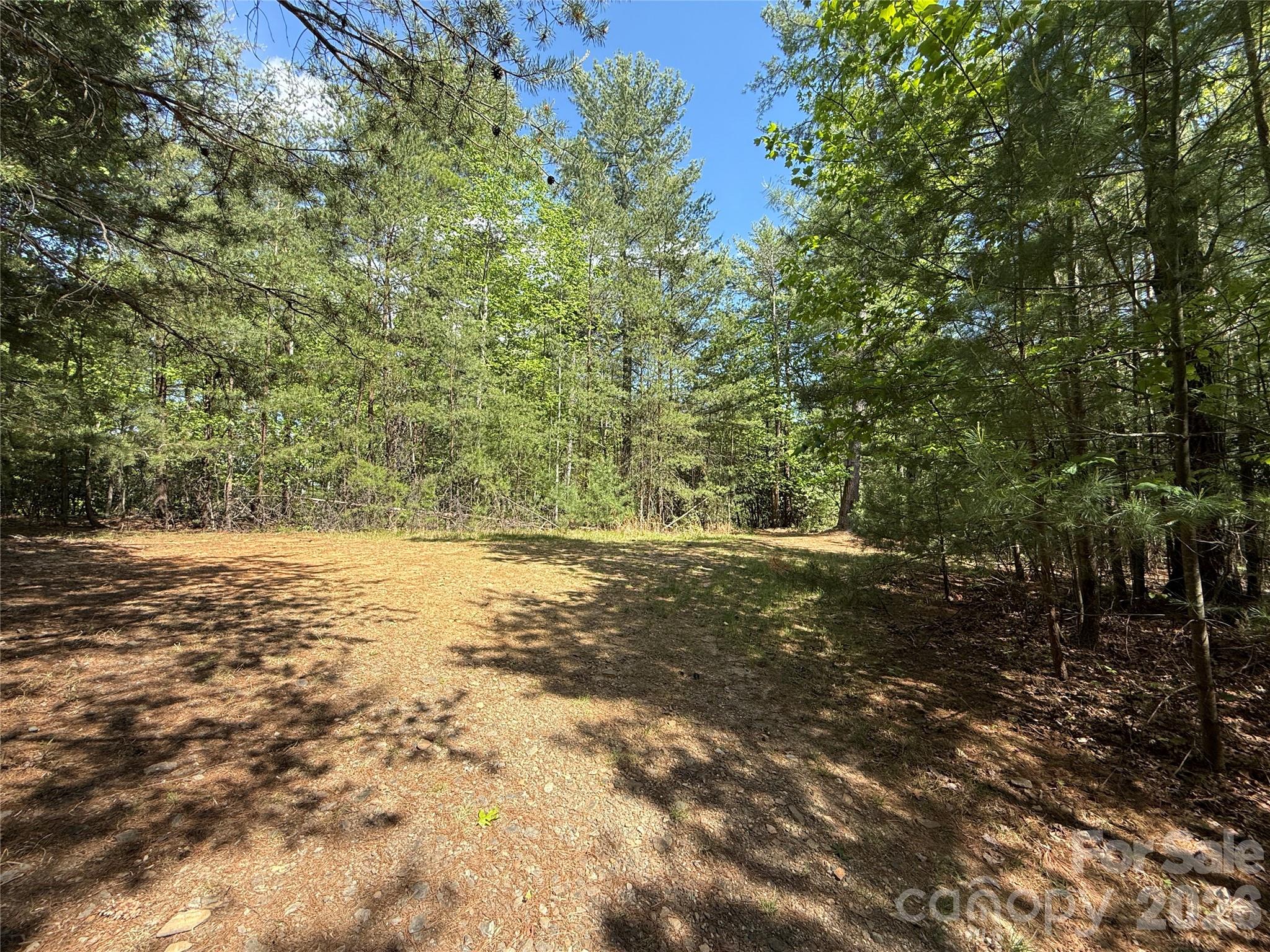 Tbd Staghorn Road 51 & 52a Property Photo 7