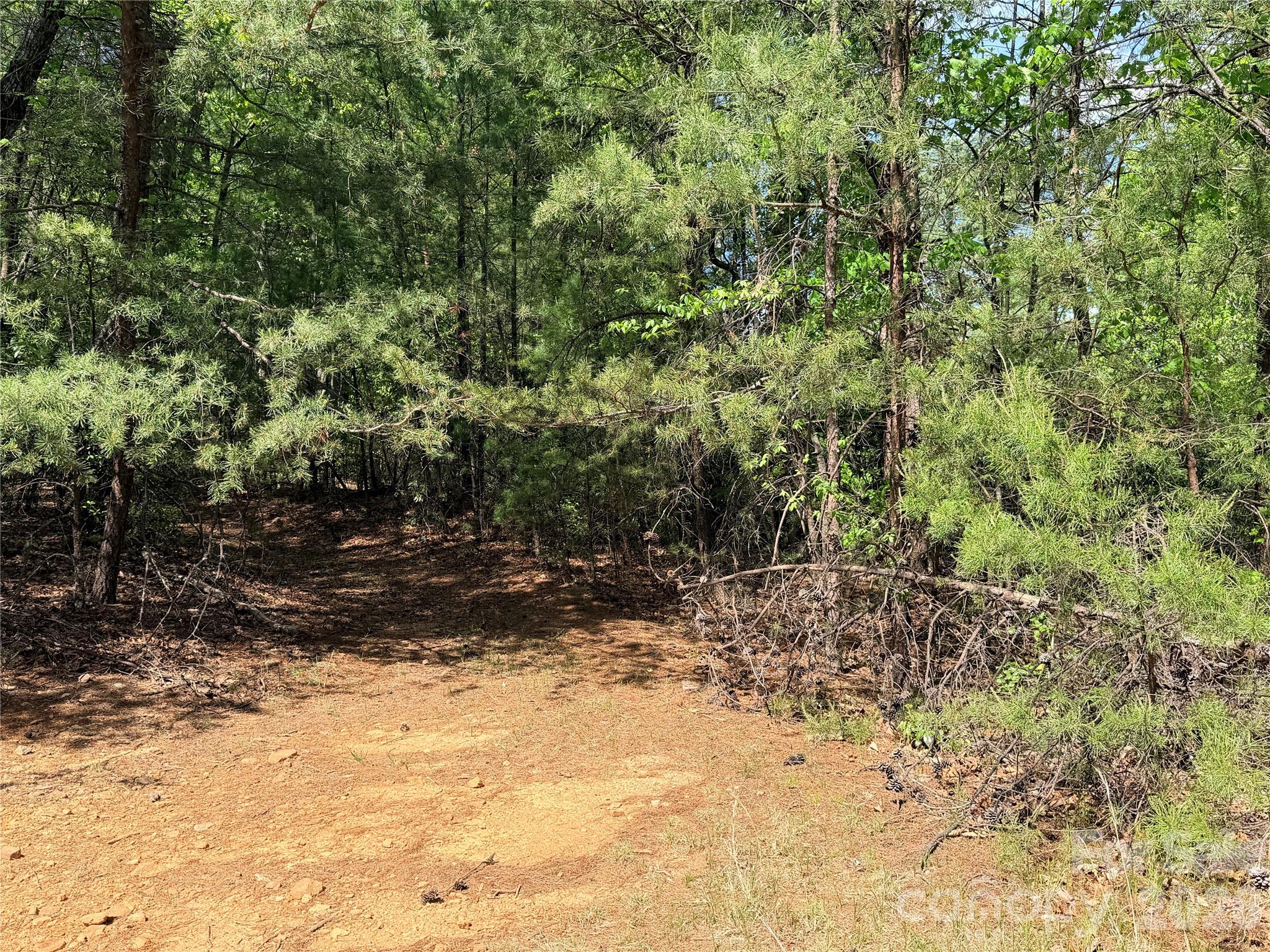 Tbd Staghorn Road 51 & 52a Property Photo 8