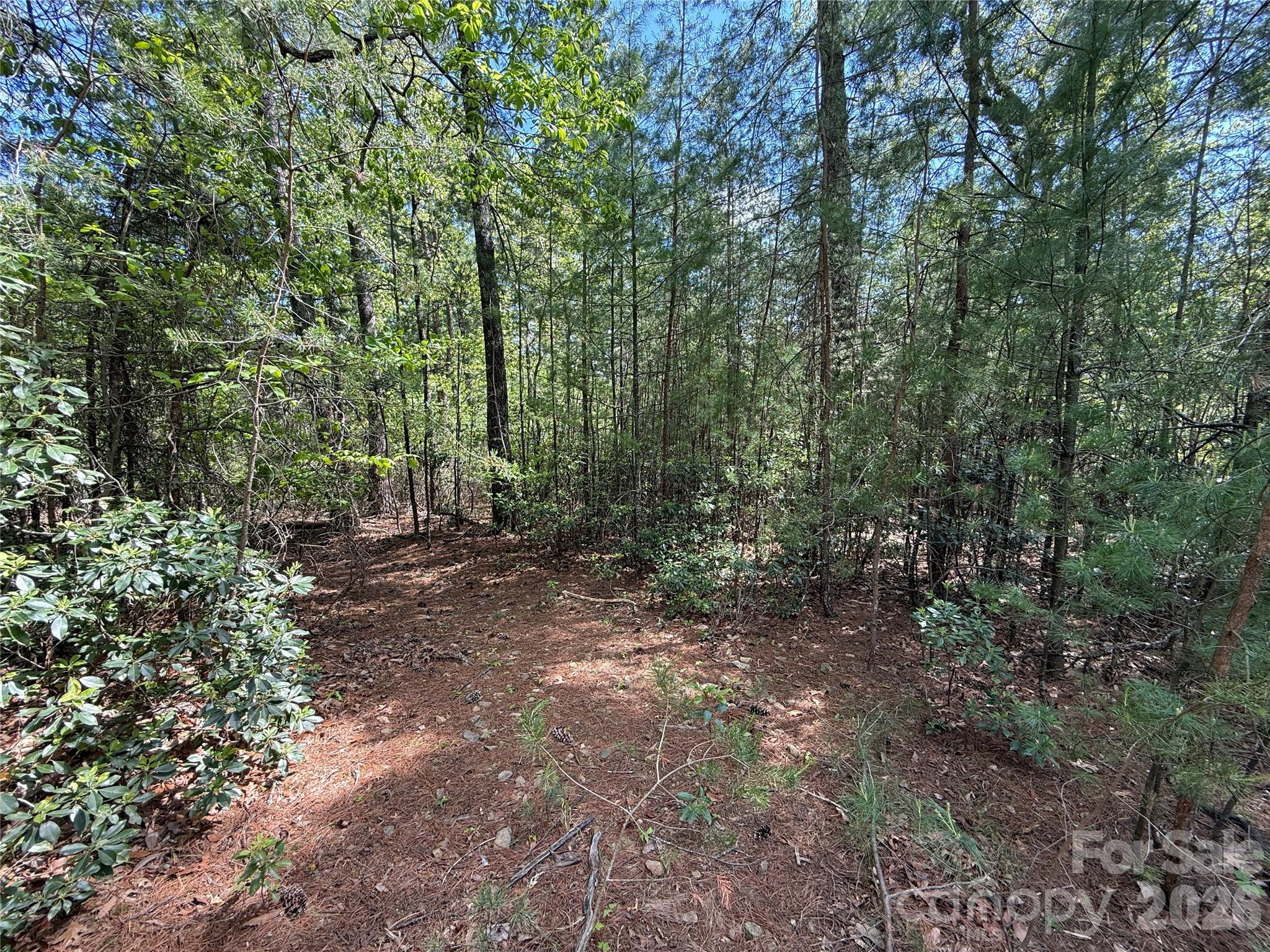 Tbd Staghorn Road 51 & 52a Property Photo 9