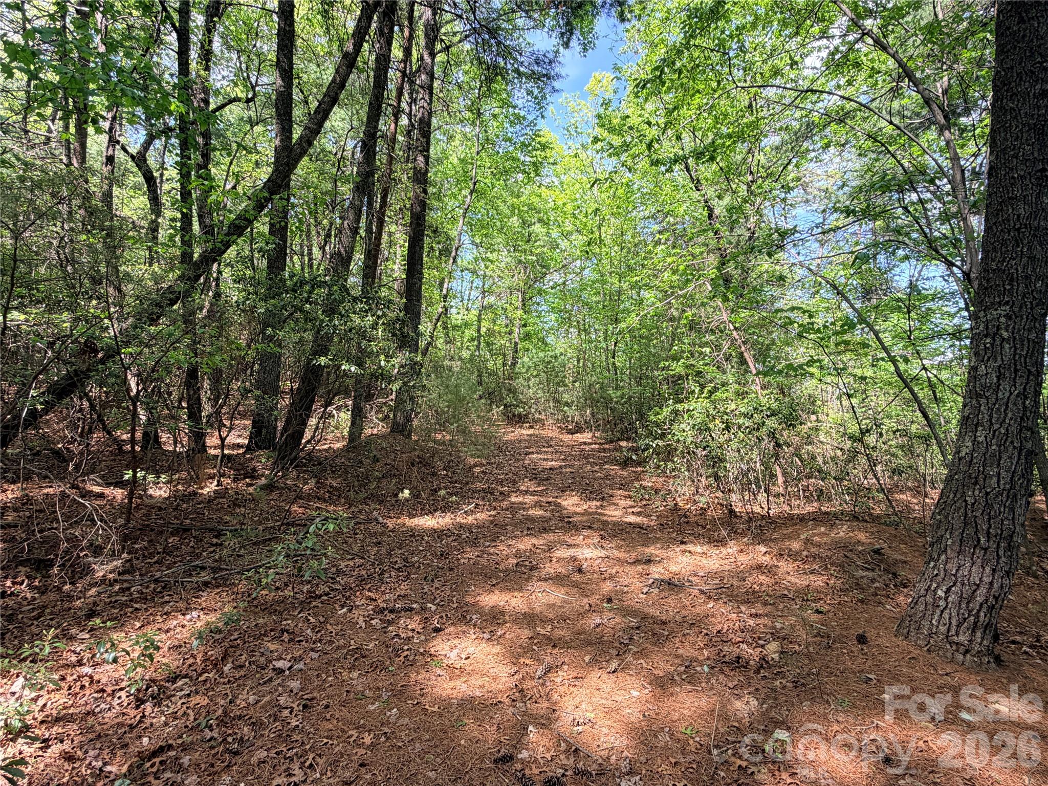Tbd Staghorn Road 51 & 52a Property Photo 10