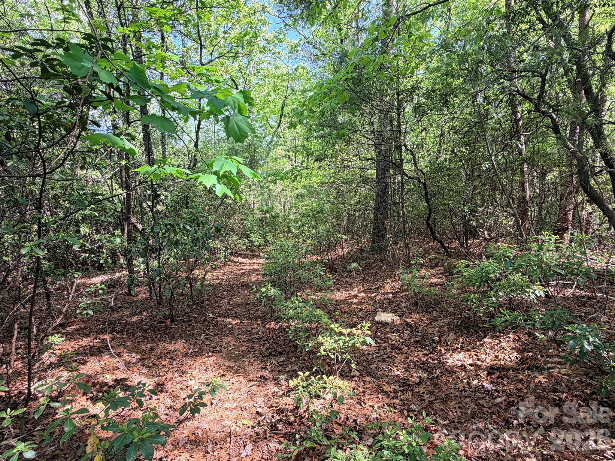 Tbd Staghorn Road 51 & 52a Property Photo 11