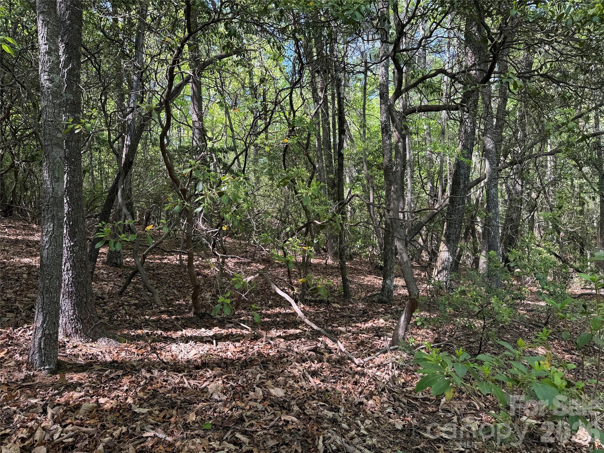 Tbd Staghorn Road 51 & 52a Property Photo 12