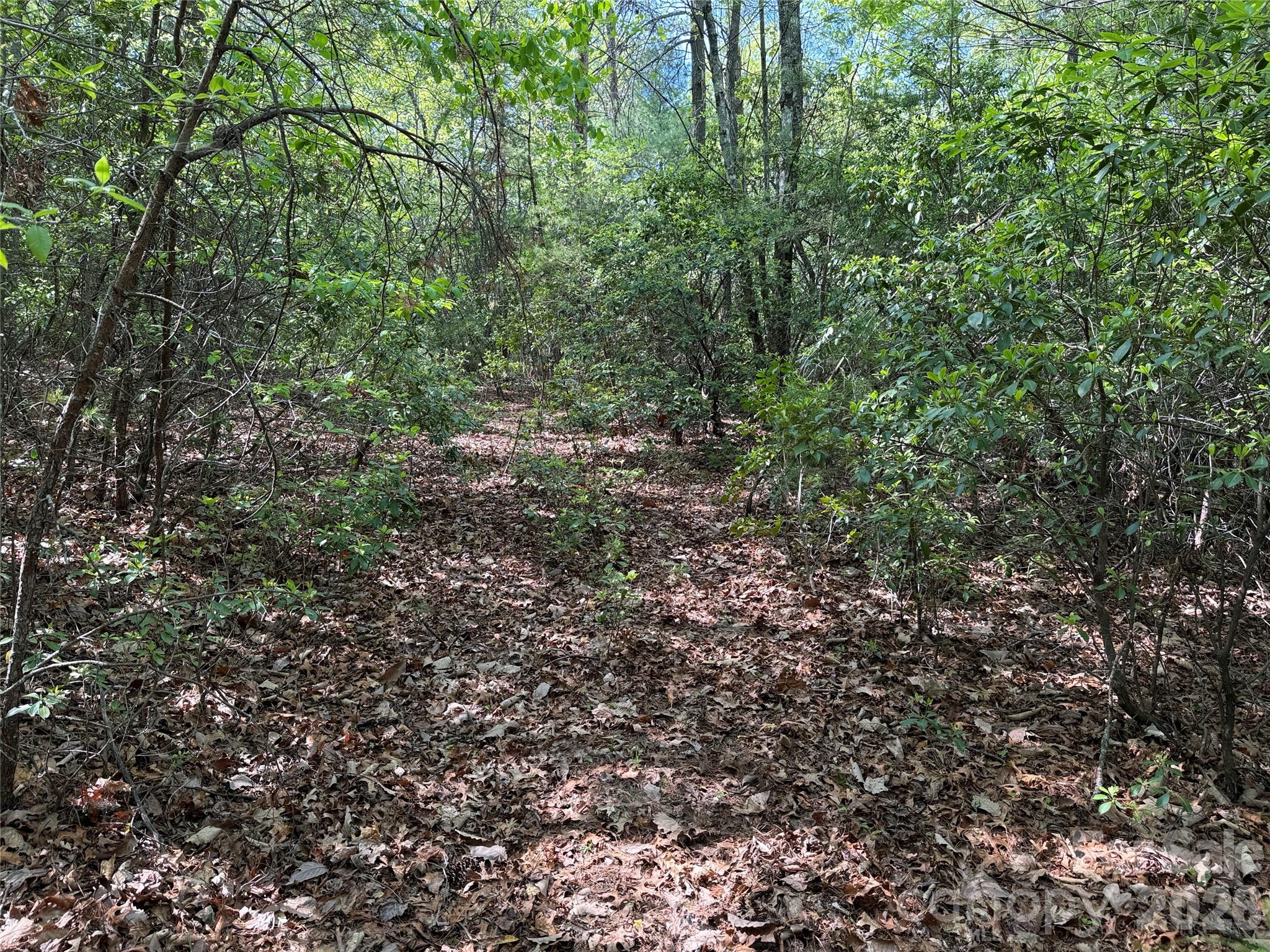 Tbd Staghorn Road 51 & 52a Property Photo 14